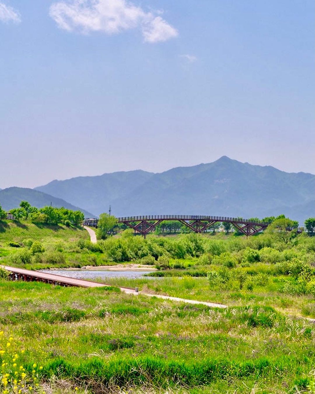 섬진강 침실습지(Seomjingang Chimsil Wetland)'s picture