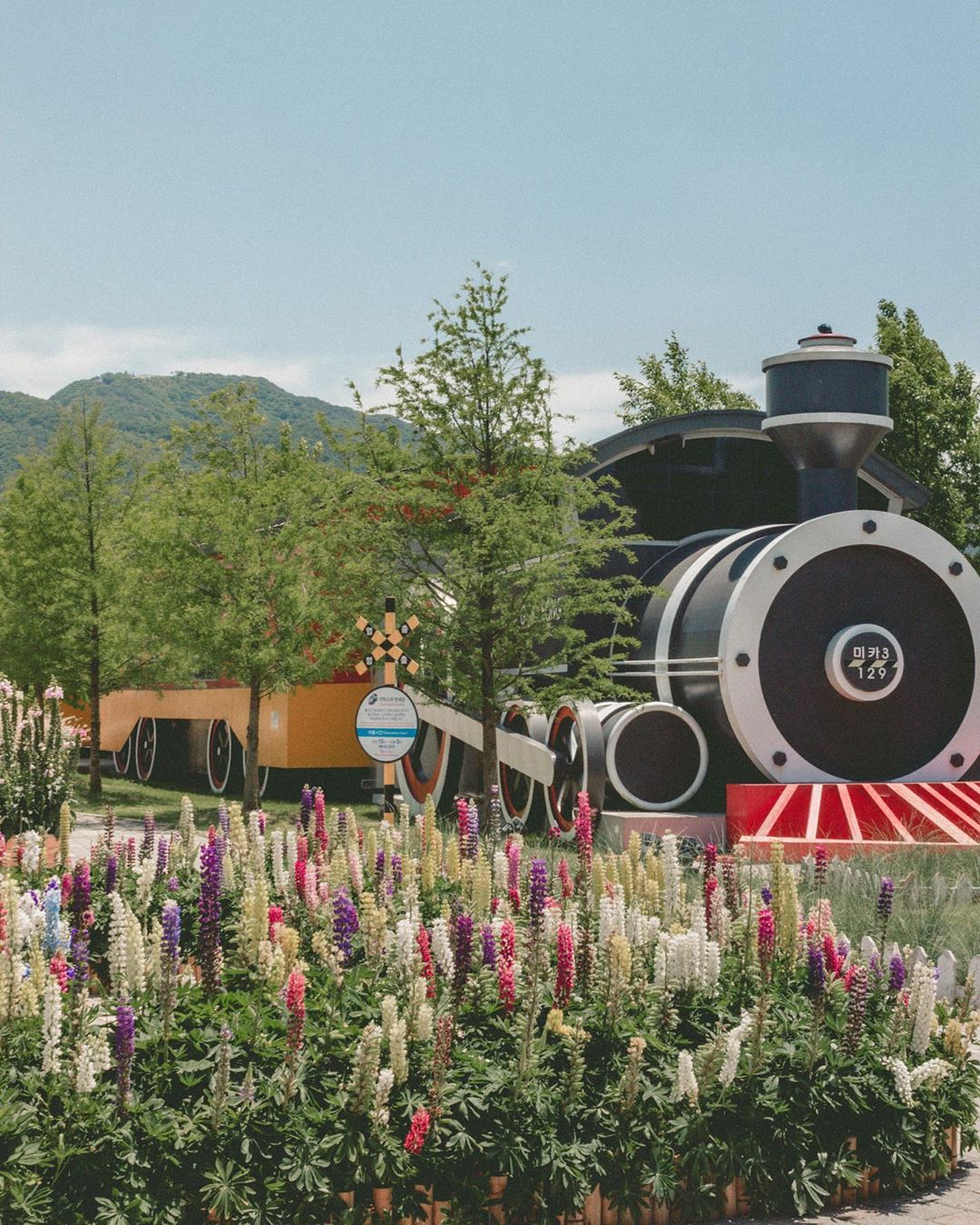 곡성 섬진강 기차마을(Gokseong Seomjin train village)'s picture