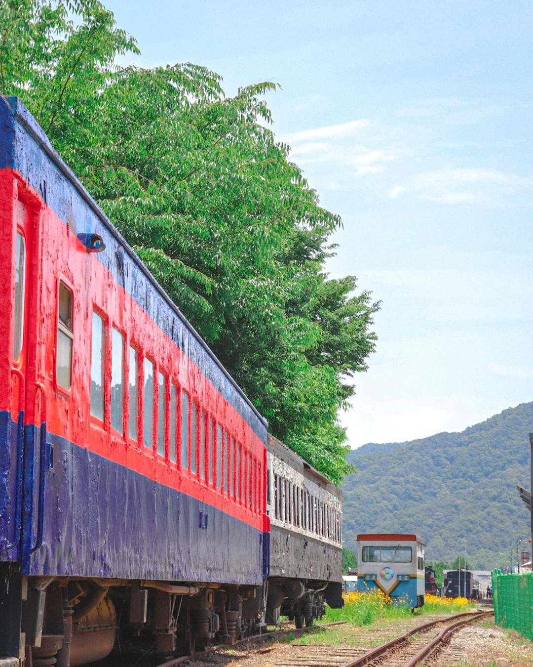곡성 섬진강 기차마을(Gokseong Seomjin train village)'s picture
