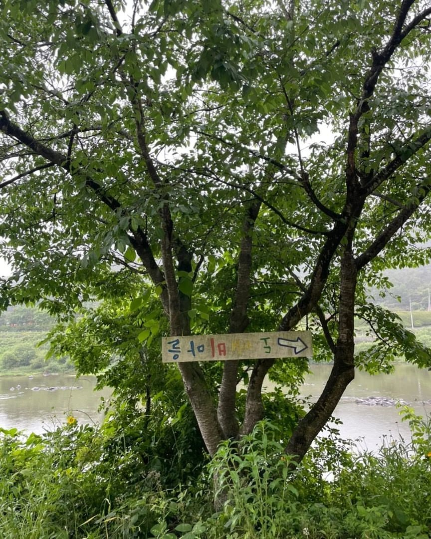 섬진강 도깨비마을's picture