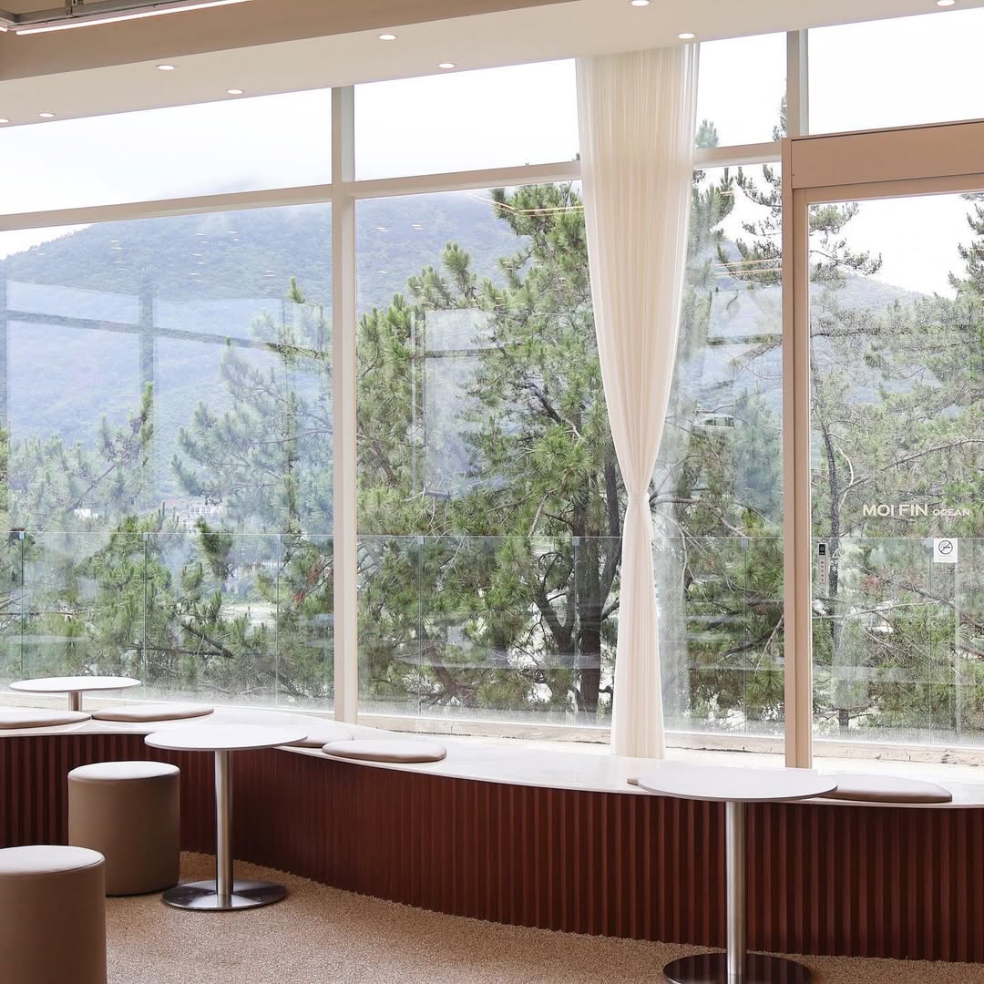 모이핀(MOI FIN)'s picture