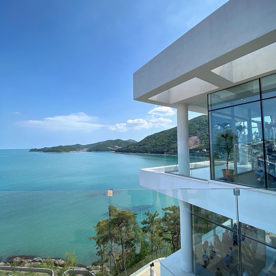 모이핀(MOI FIN)'s picture