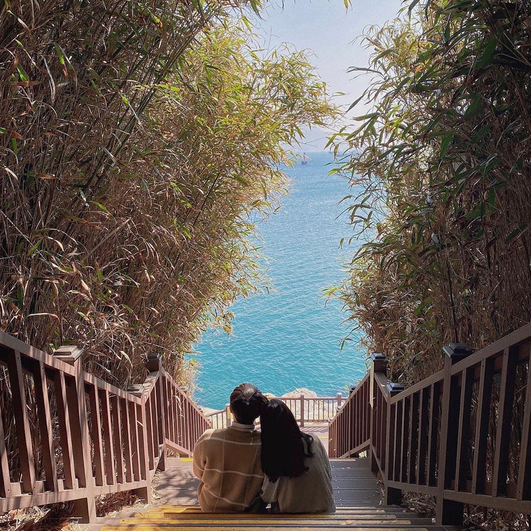 오동도(Odongdo)'s picture