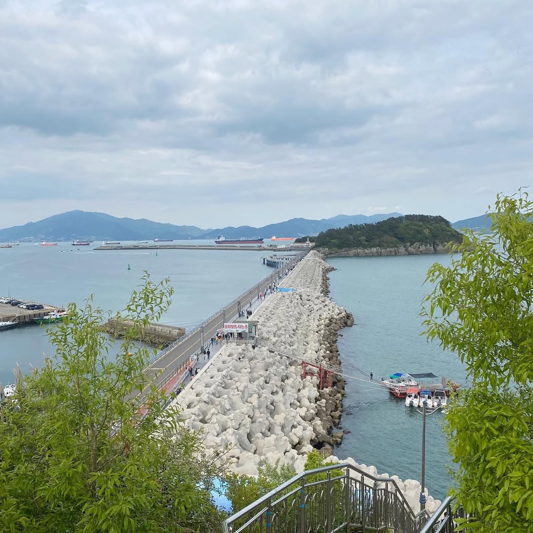 오동도(Odongdo)'s picture
