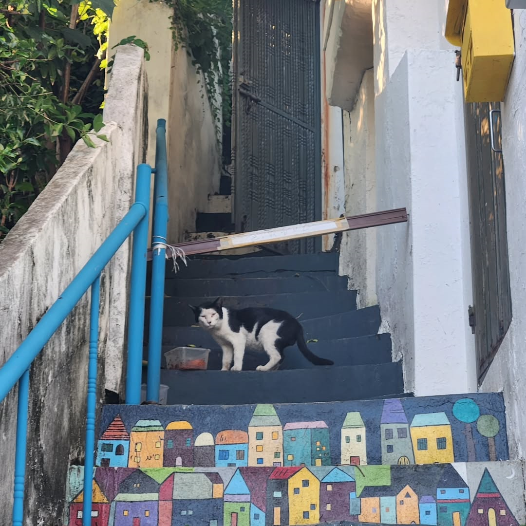 천사벽화마을(Angel Mural Village)'s picture