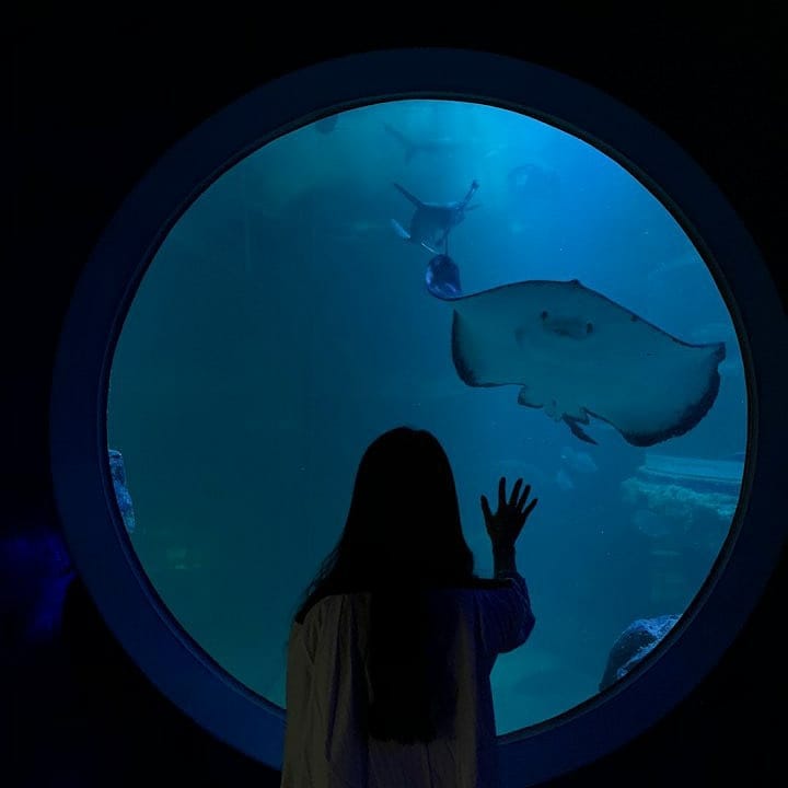 한화 아쿠아플라넷 여수(Aqua Planet Yeosu)'s picture