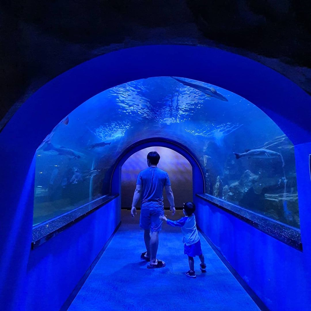  Healing Sightseeing, Sea Appreciation Tour in Yeosu