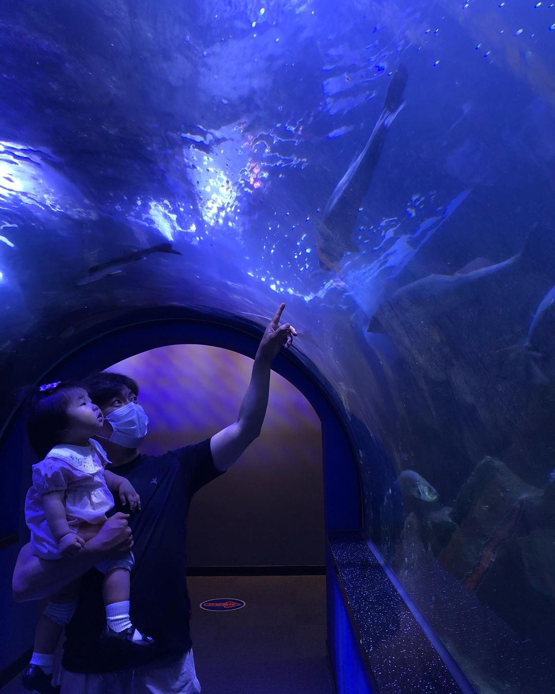 해양수산과학관(Maritime and Fisheries Science Museum)'s picture