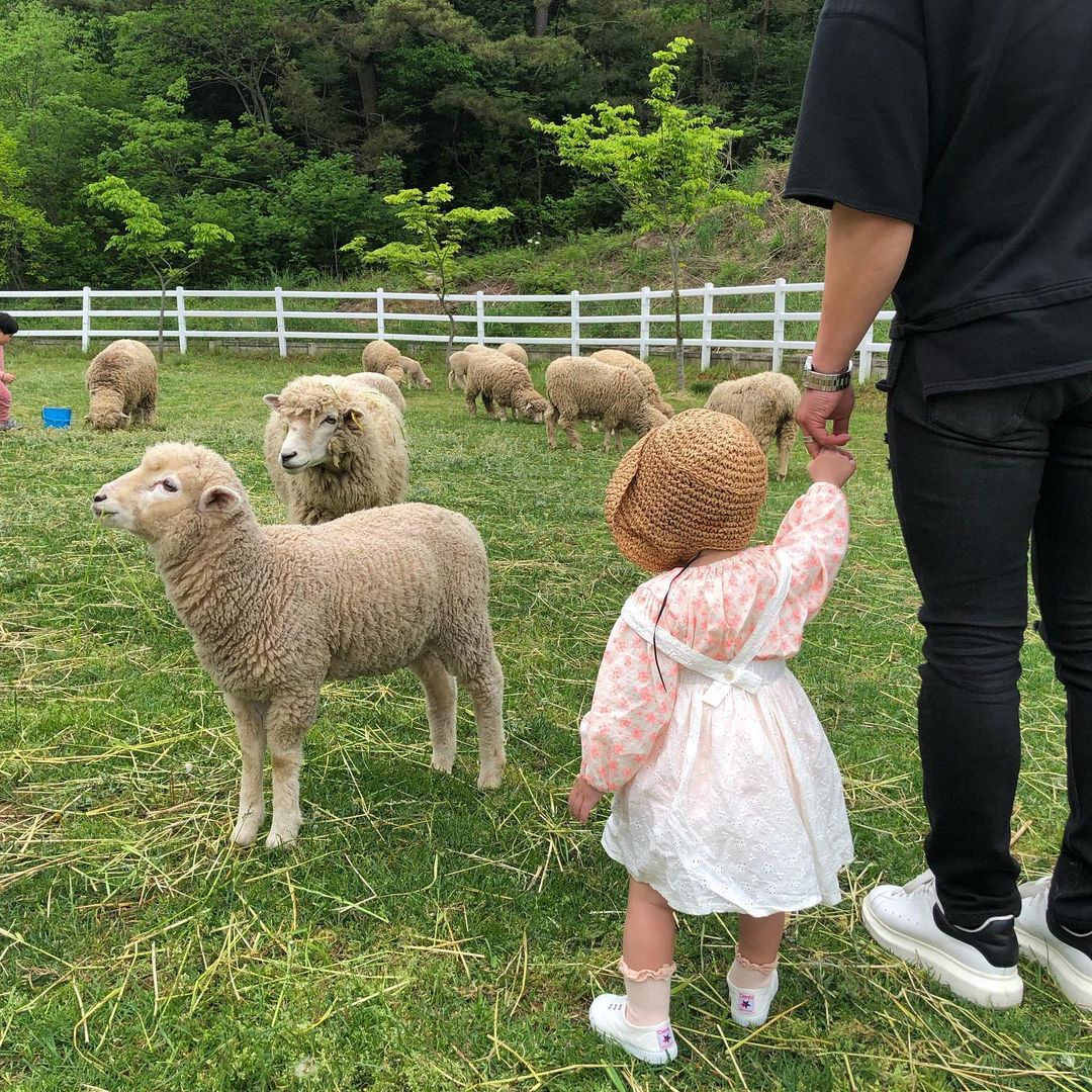 남해양떼목장 양마르뜨언덕(Namhae Sheep Farm Yangmartre Hill)'s picture