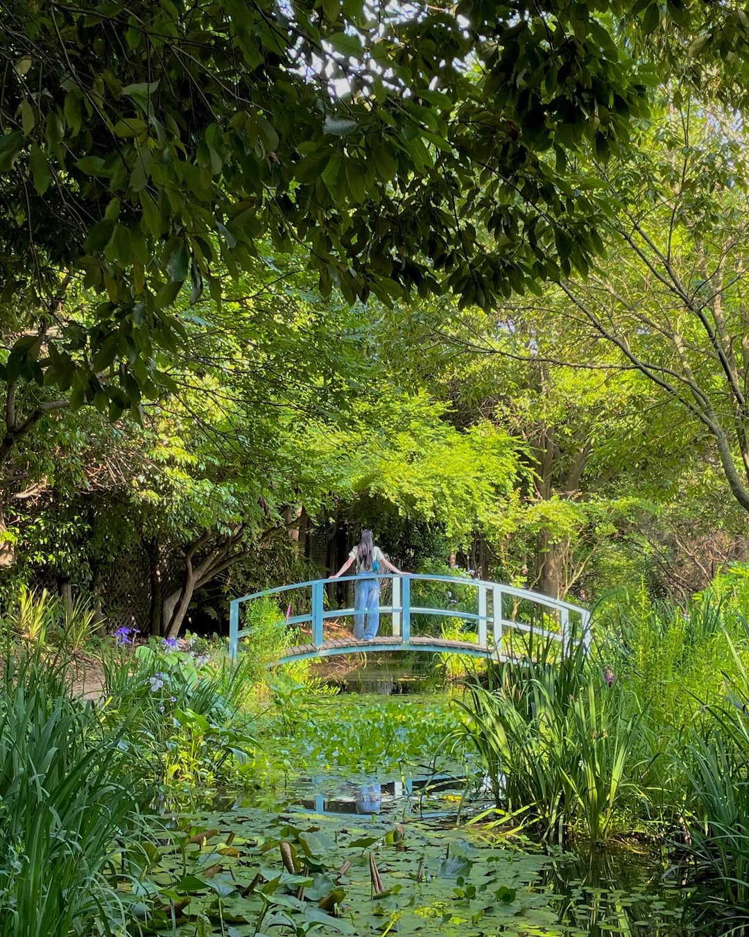 섬이정원(Seomi Garden)'s picture