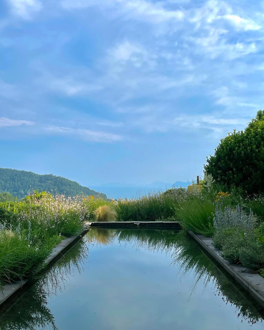 섬이정원(Seomi Garden)'s picture