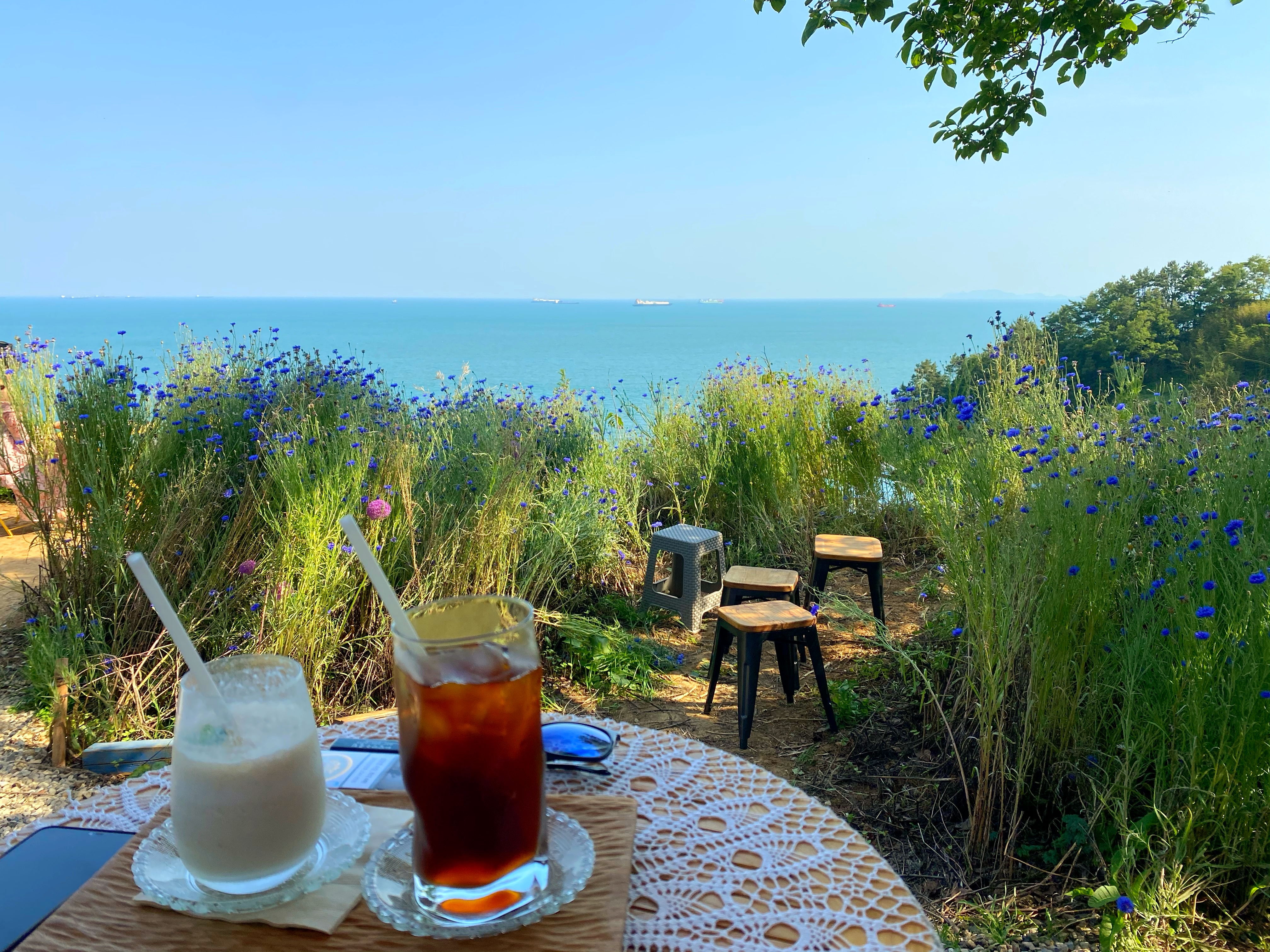 카페 톨(Cafe Tol)