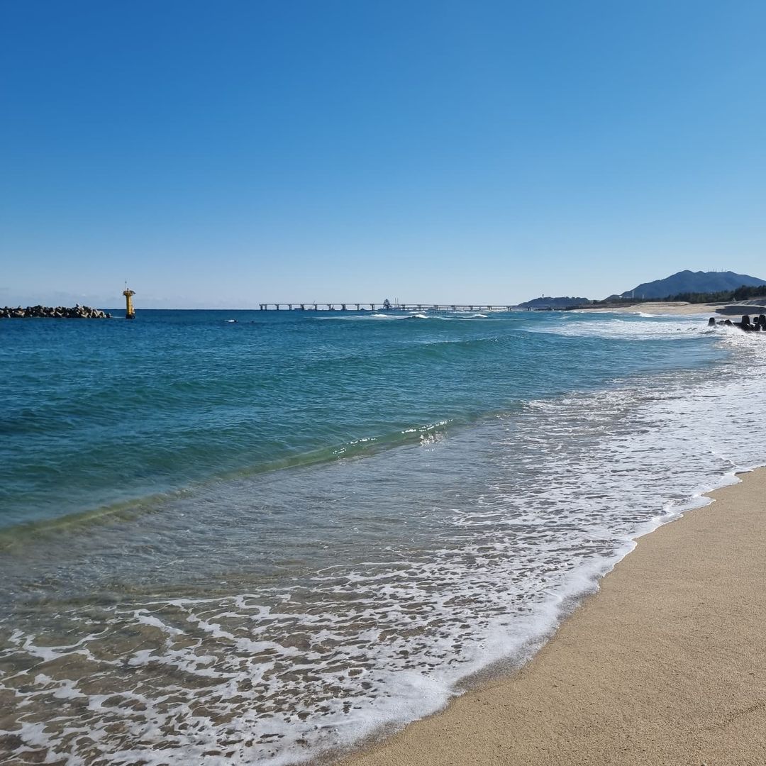 남항진해변's picture