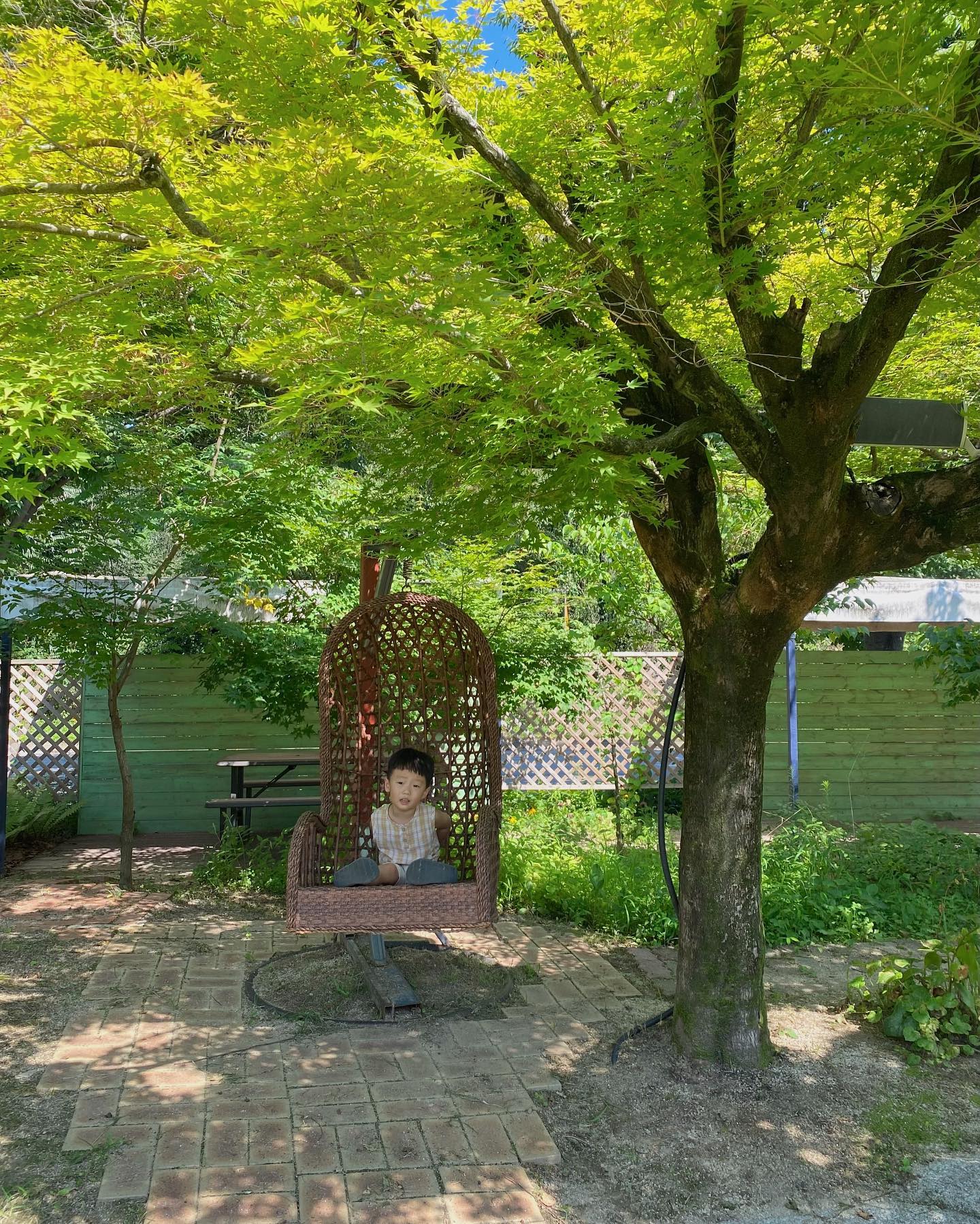 사느레정원's picture