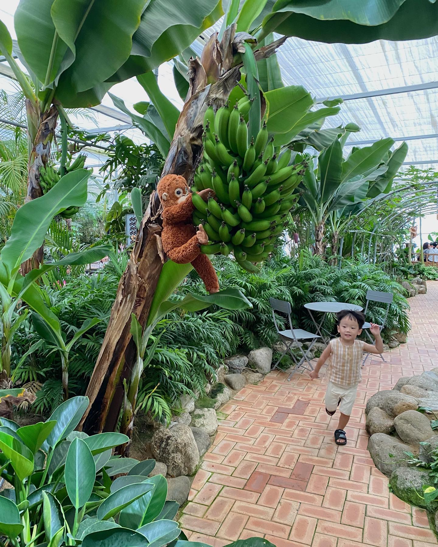 사느레정원's picture