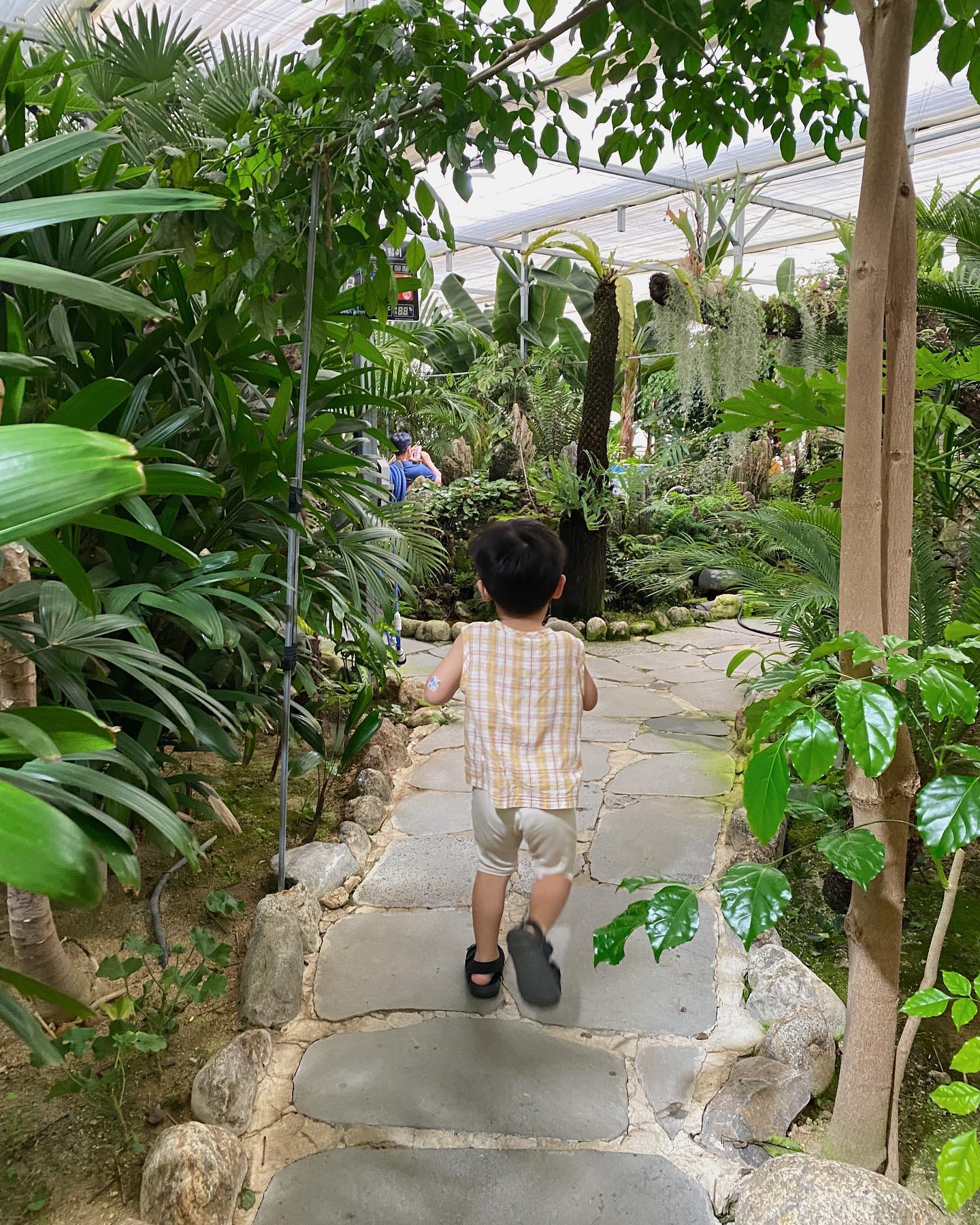 사느레정원's picture