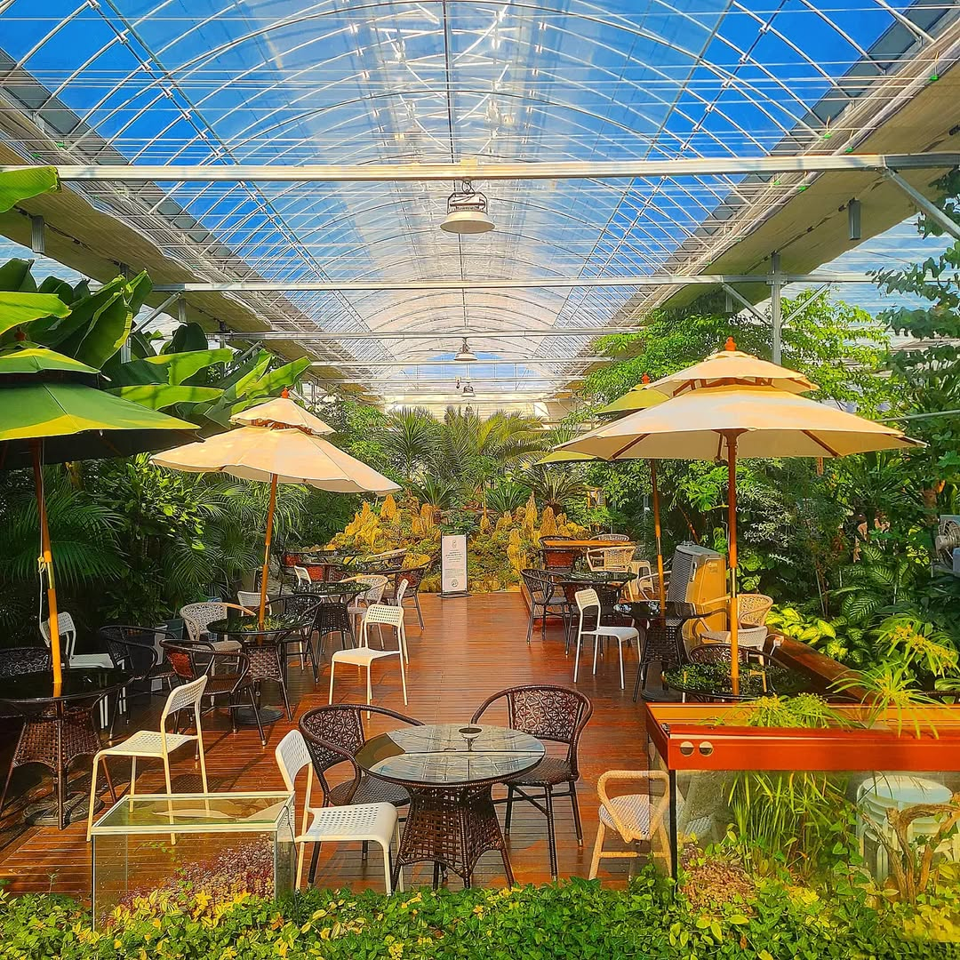 사느레정원's picture