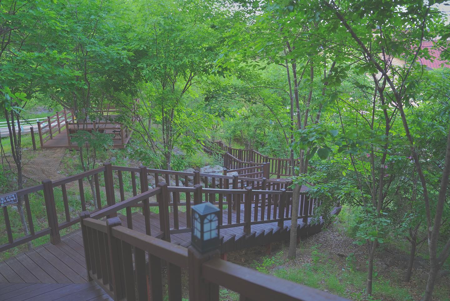 국립 산림 치유원's picture