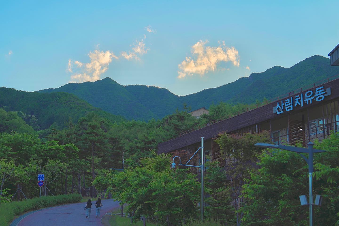 국립 산림 치유원's picture