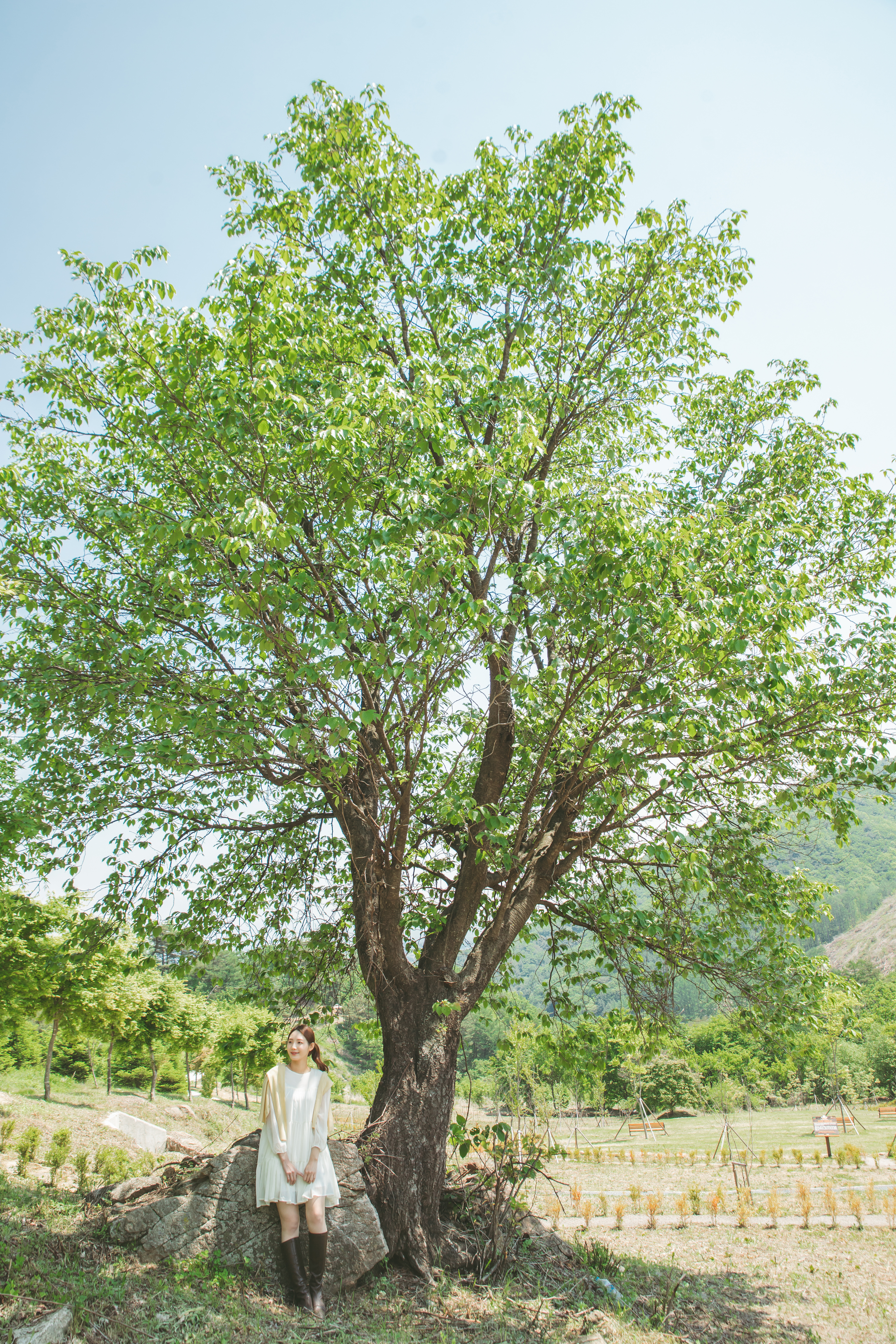 국립 산림 치유원's picture