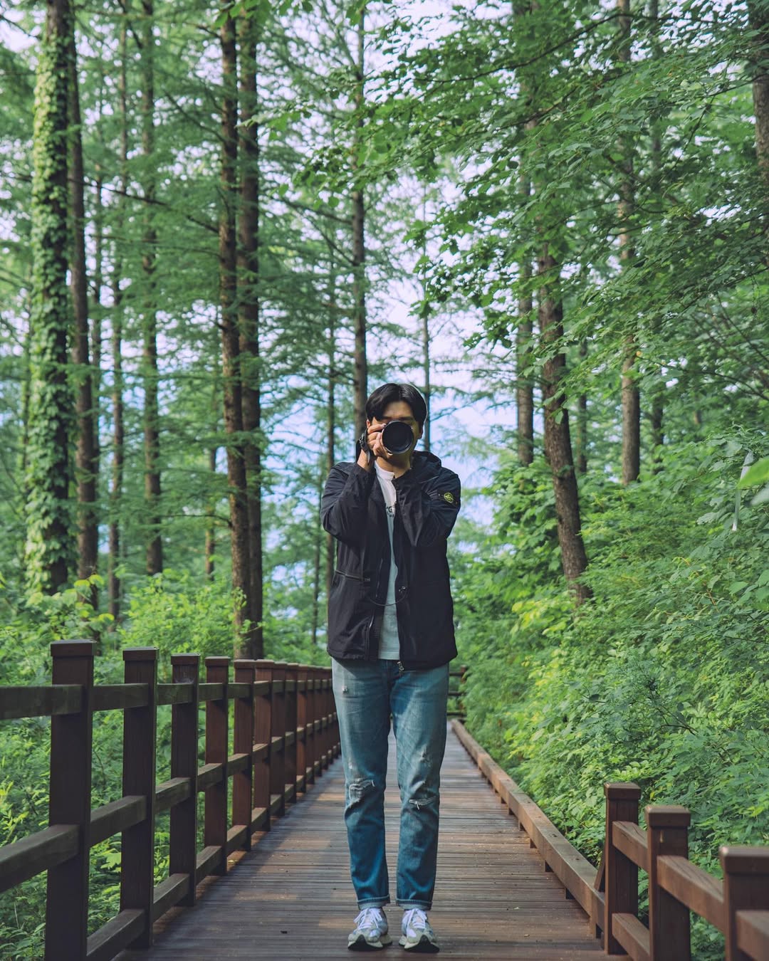 국립 산림 치유원's picture