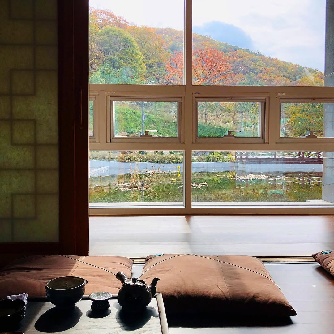 국립 산림 치유원's picture