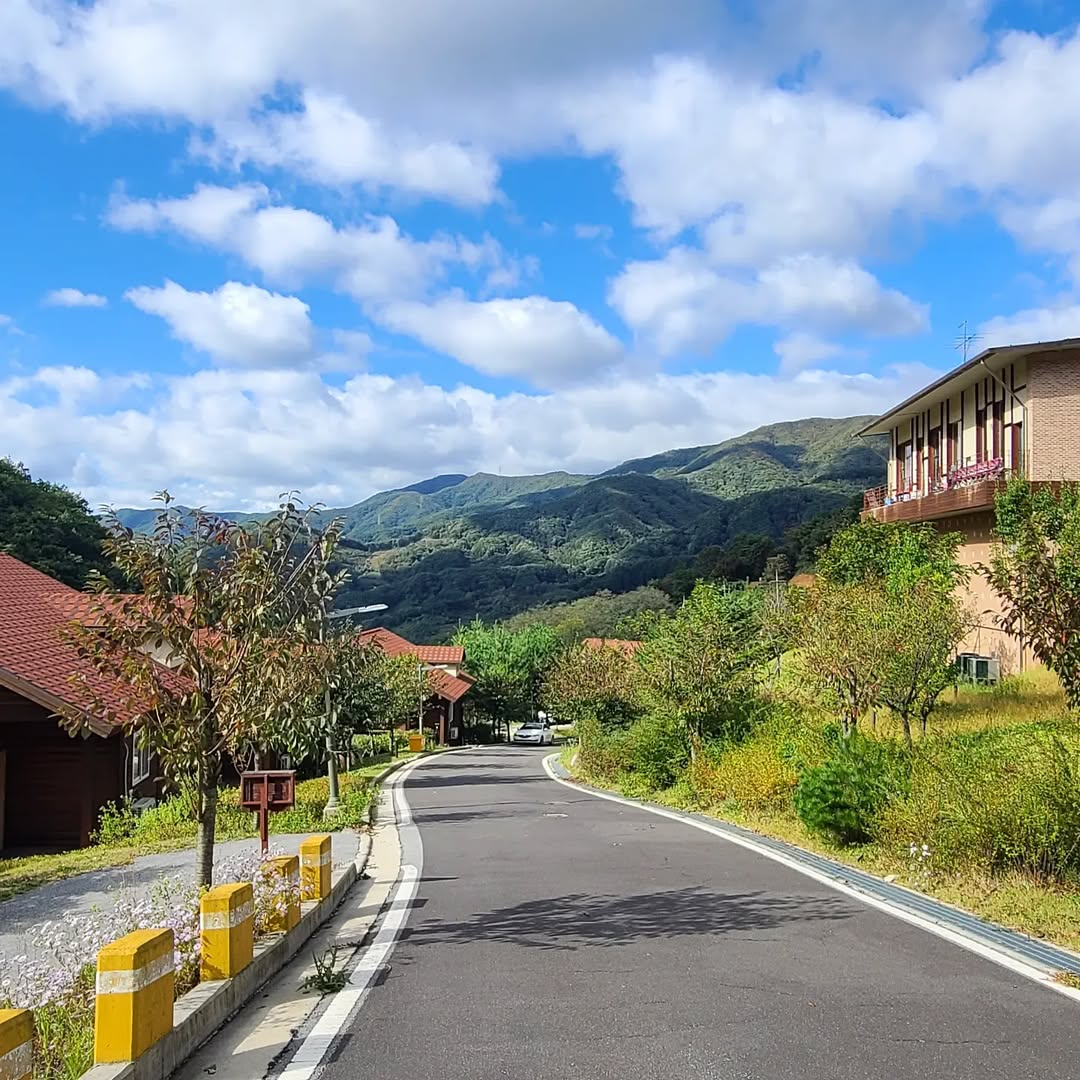 국립 산림 치유원's picture