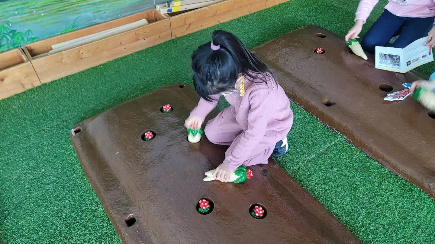 영주인삼박물관