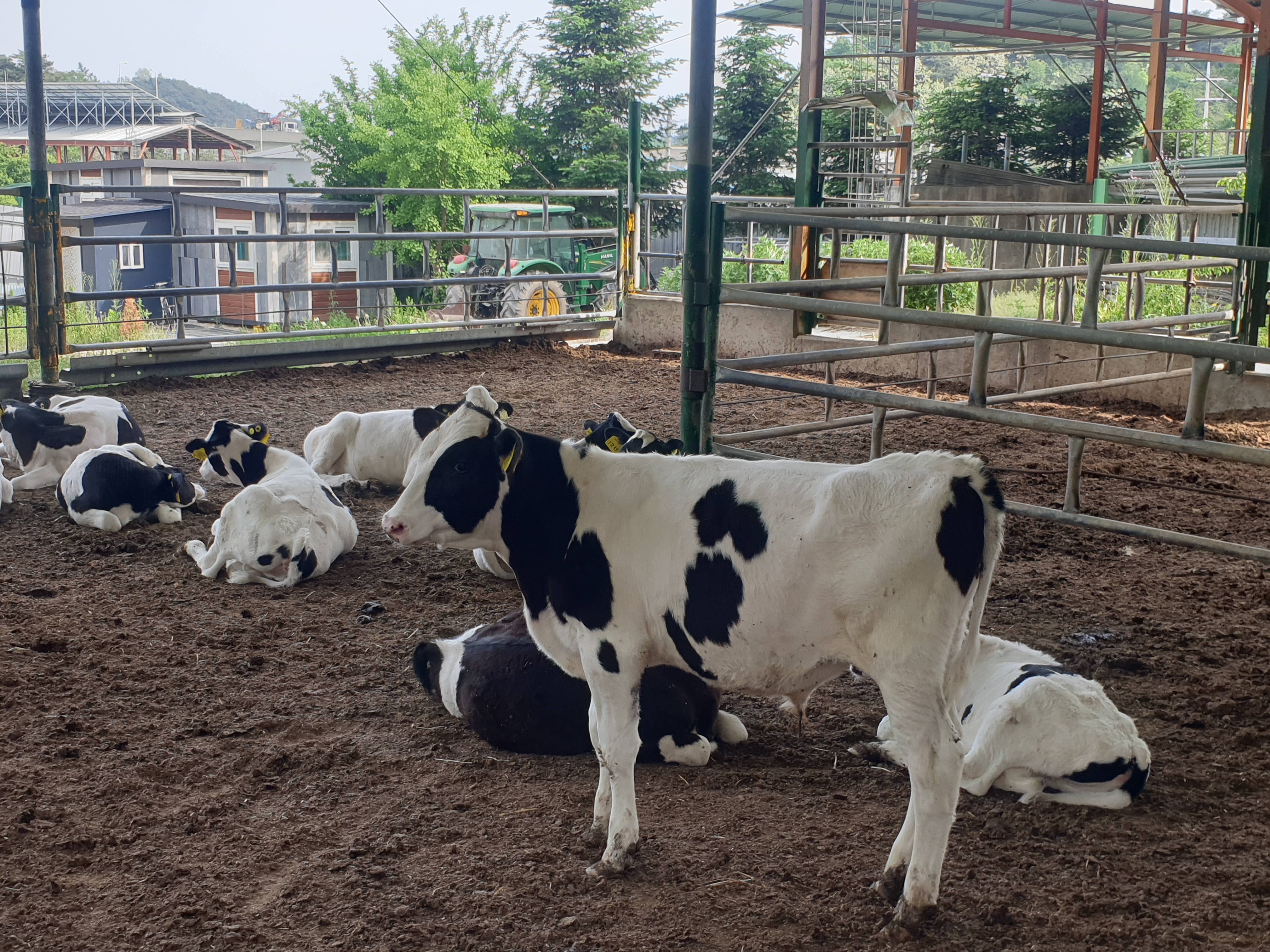 카페 목장길따라