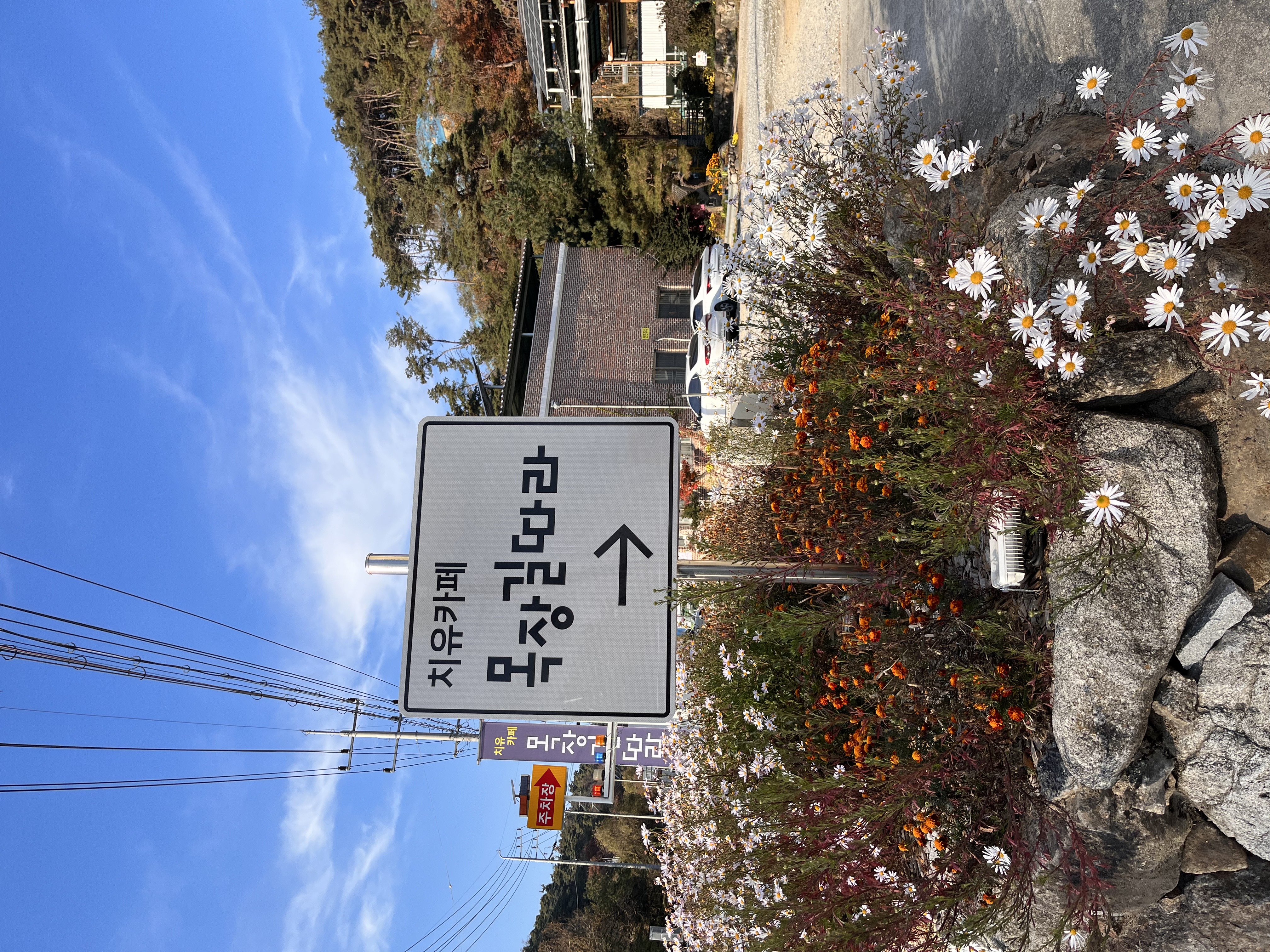 카페 목장길따라