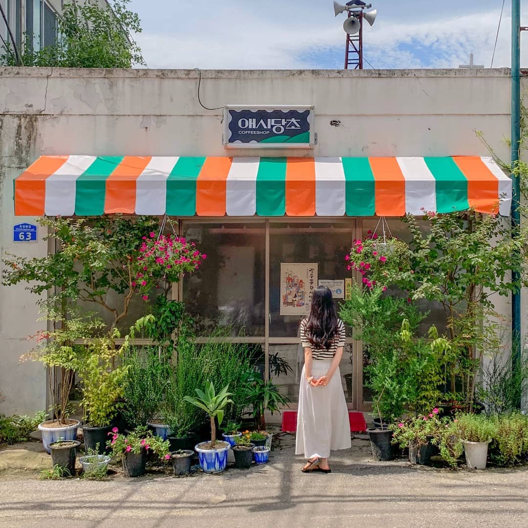 애시당초(Ashdangcho)