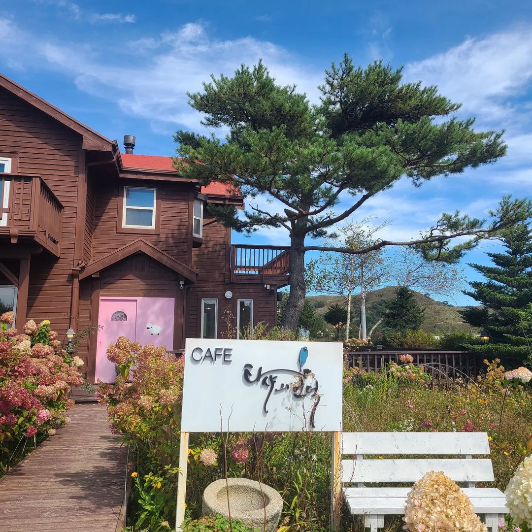 타샤의언덕