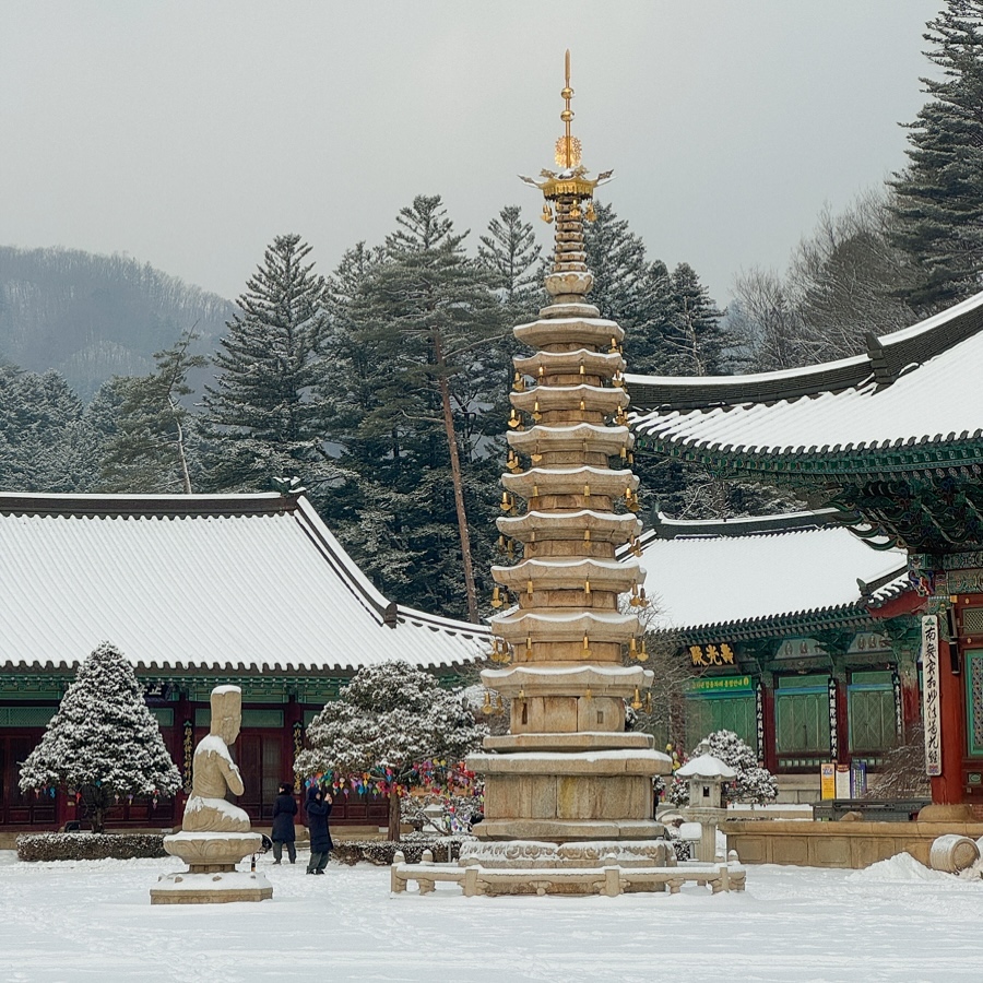 월정사(Woljeongsa Temple)'s picture