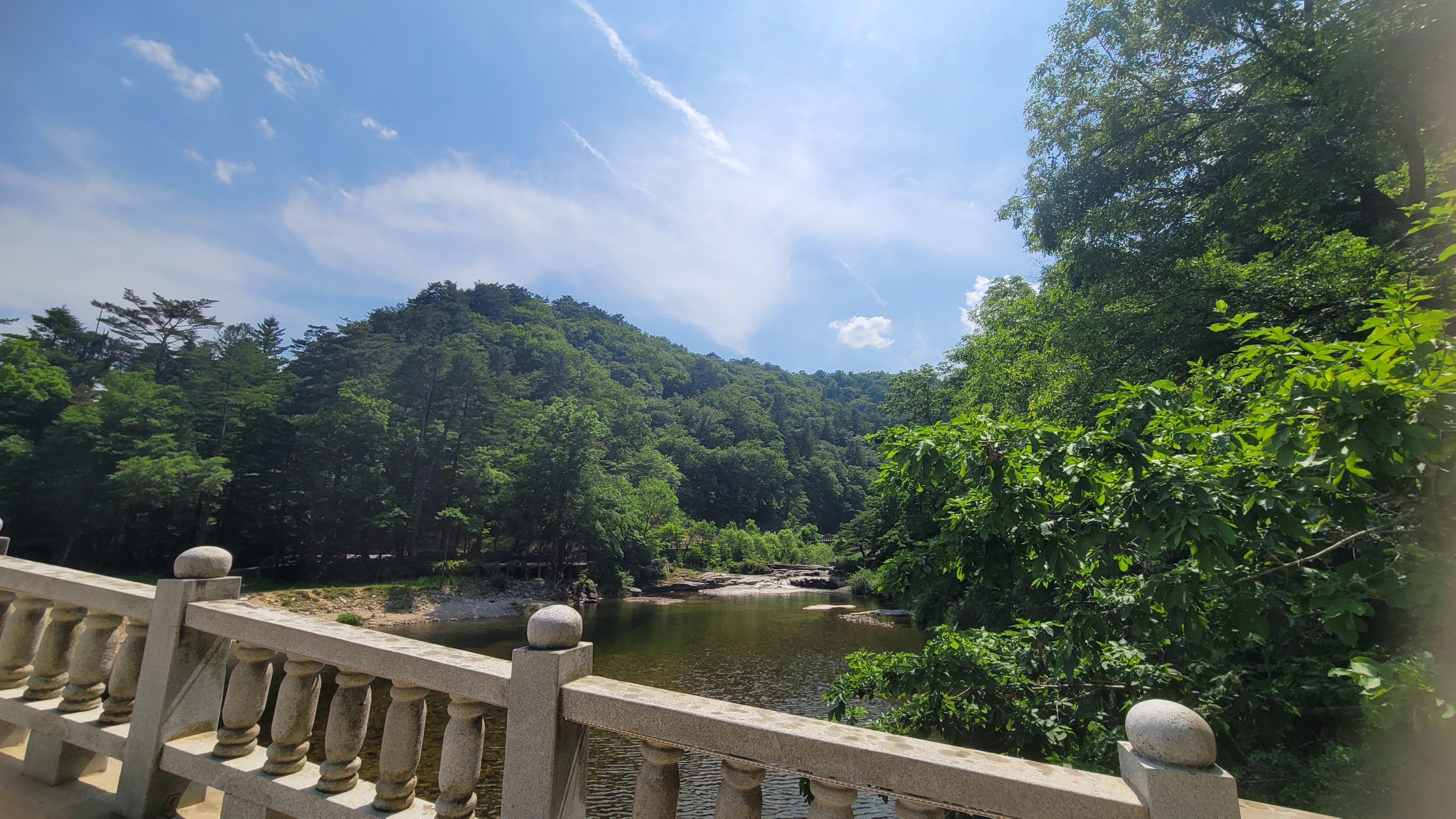 오대산월정사전나무숲길(Woljeongsa Fir Forest Accessible Trail)