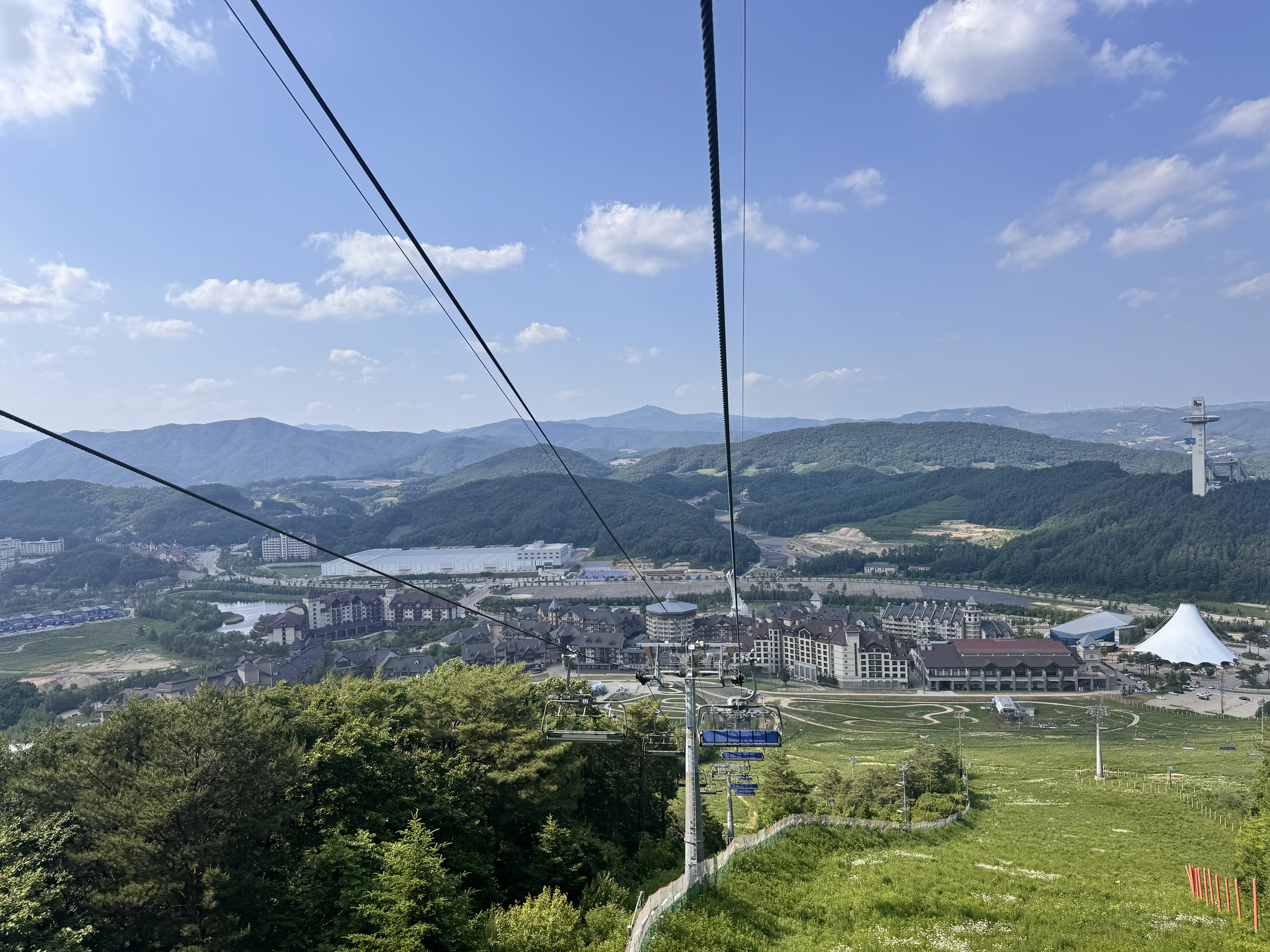알펜시아리조트 알파인코스터(Alpine Coaster)