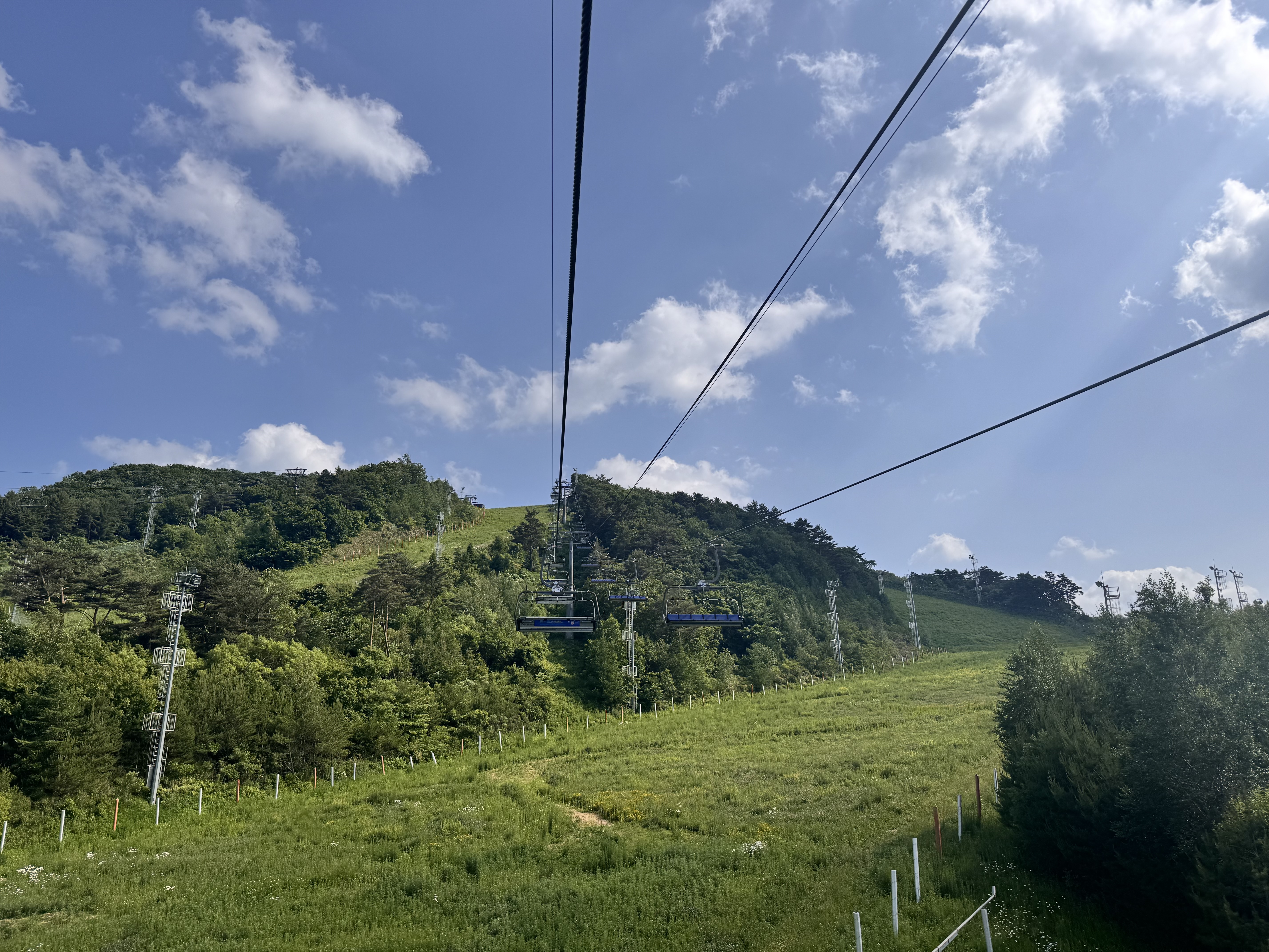 알펜시아리조트 알파인코스터(Alpine Coaster)