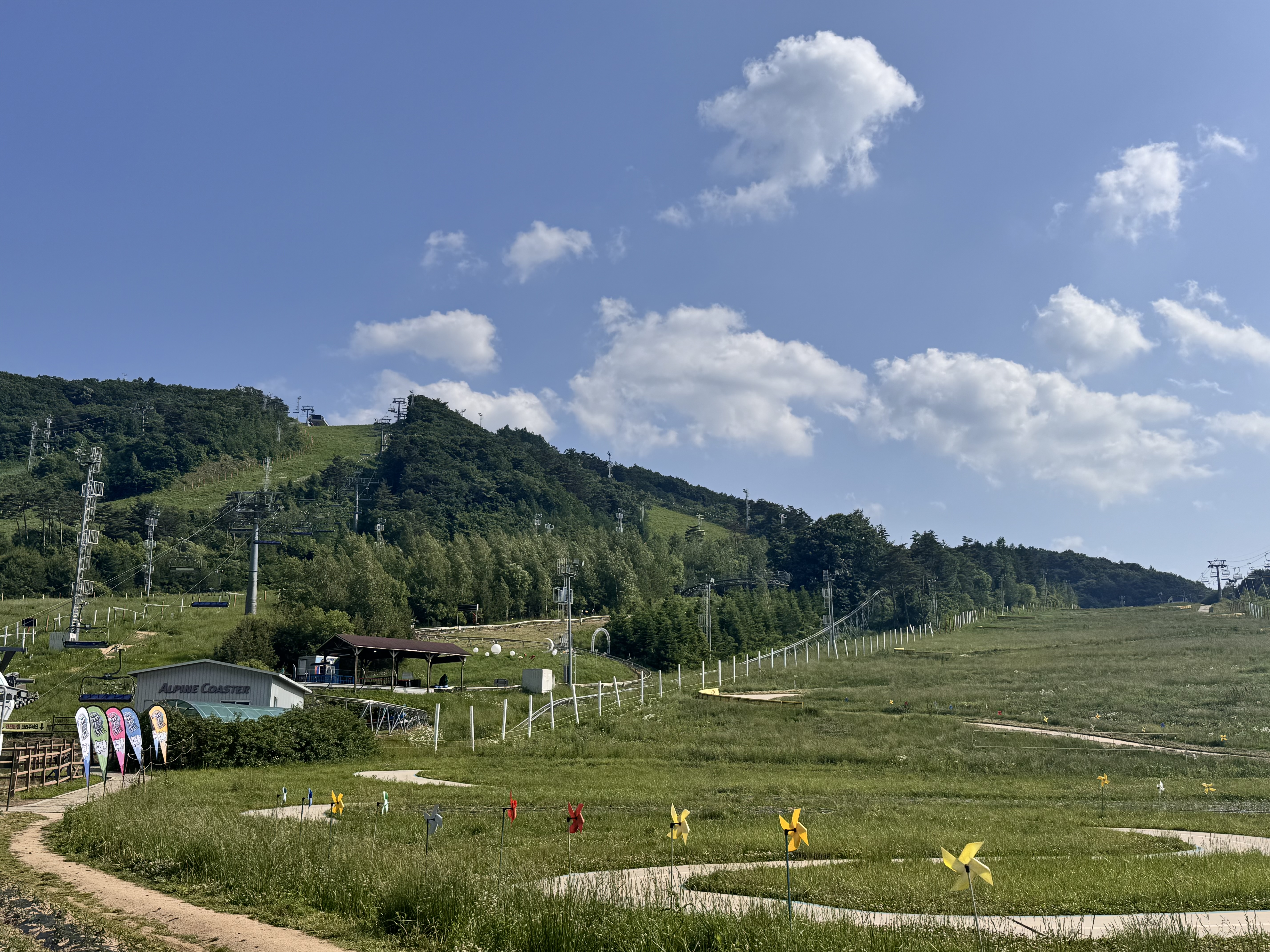 알펜시아리조트 알파인코스터(Alpine Coaster)