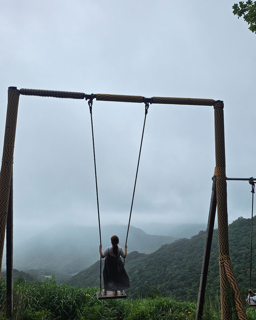 애니포레(Ani-Fore)