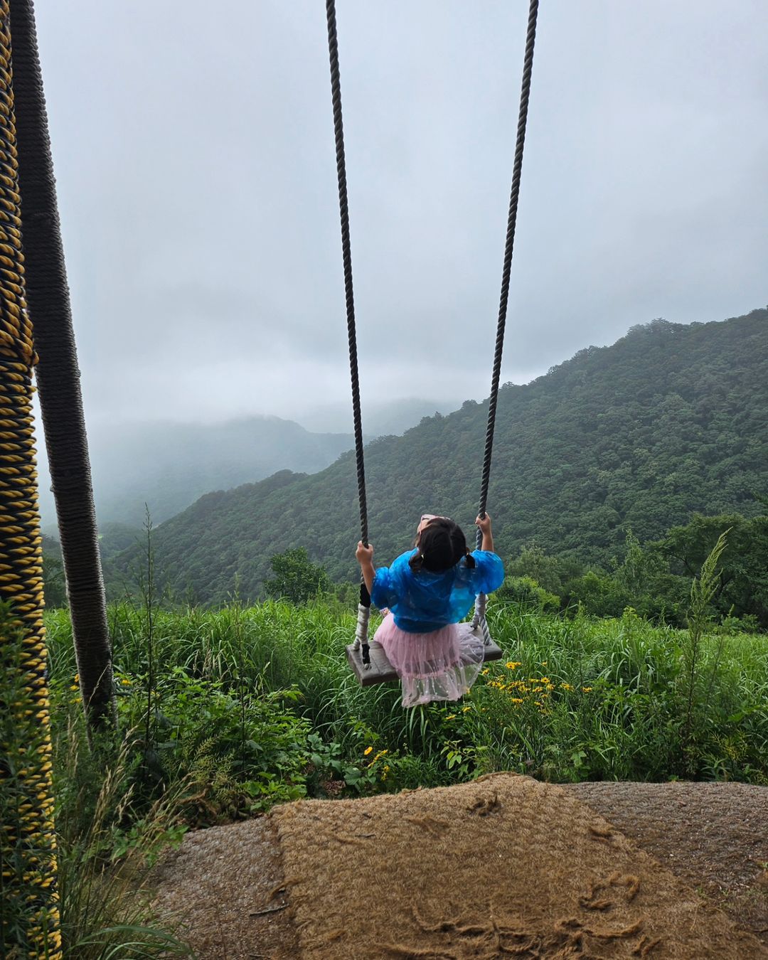 애니포레(Ani-Fore)