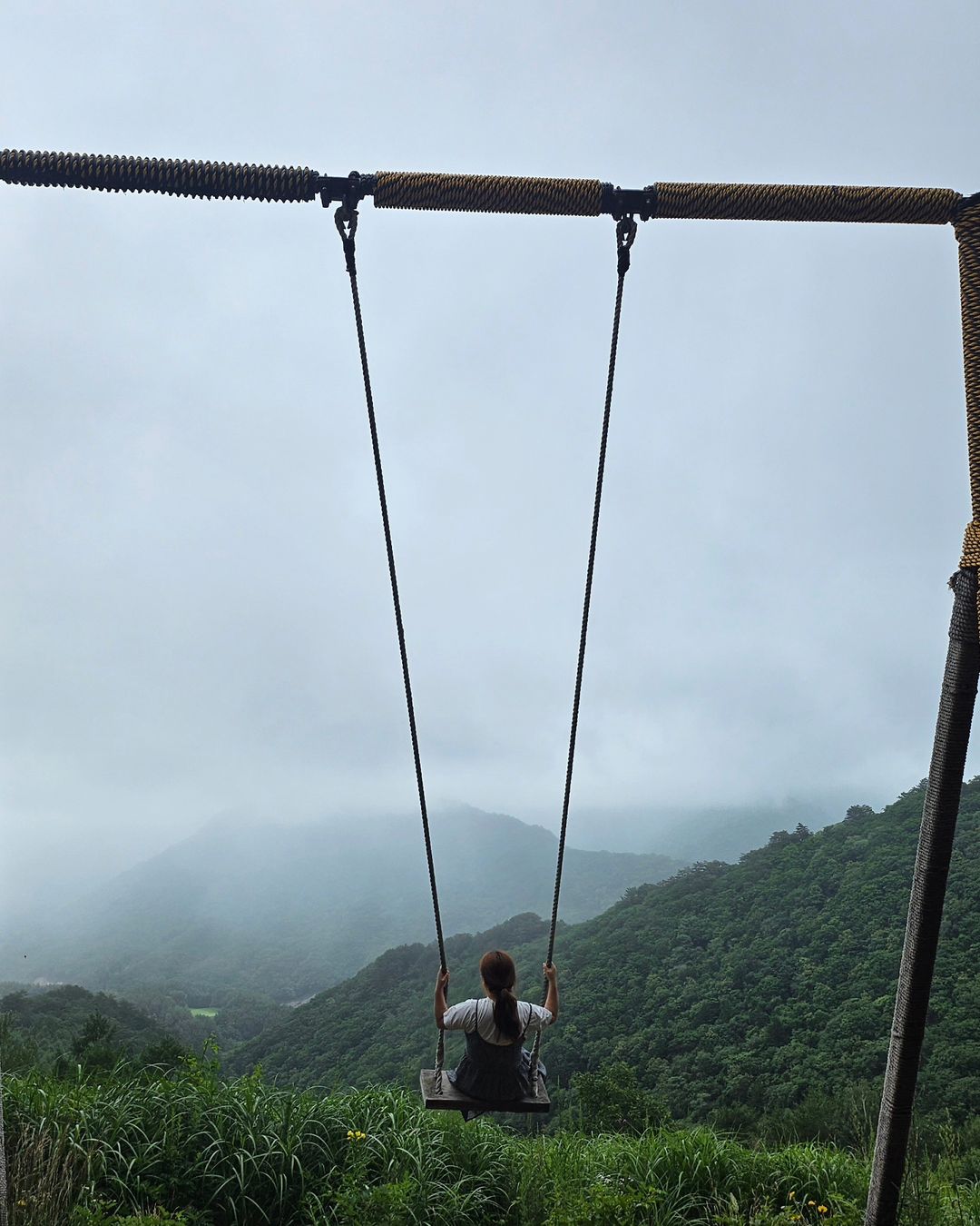 애니포레(Ani-Fore)