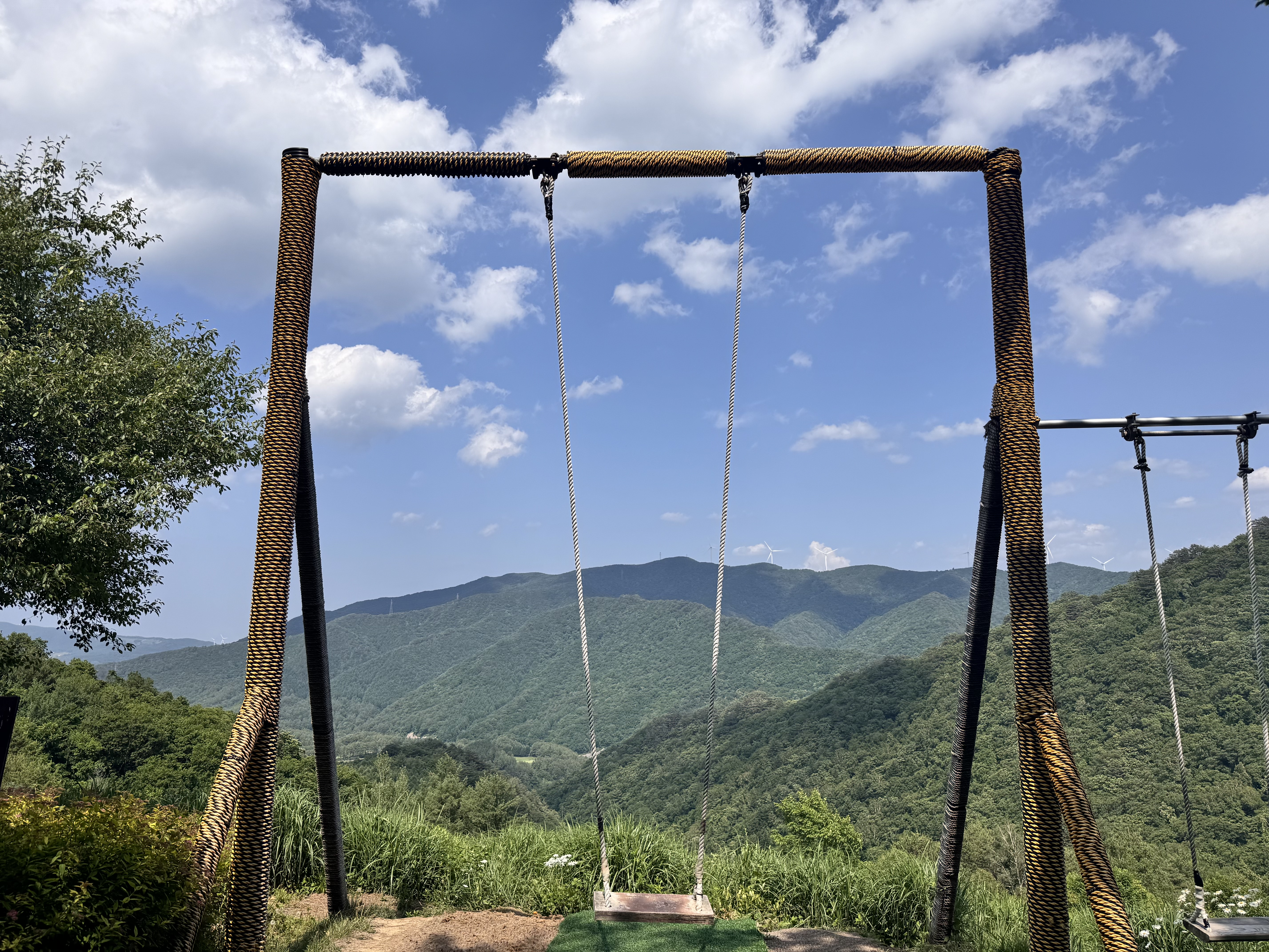 애니포레(Ani-Fore)