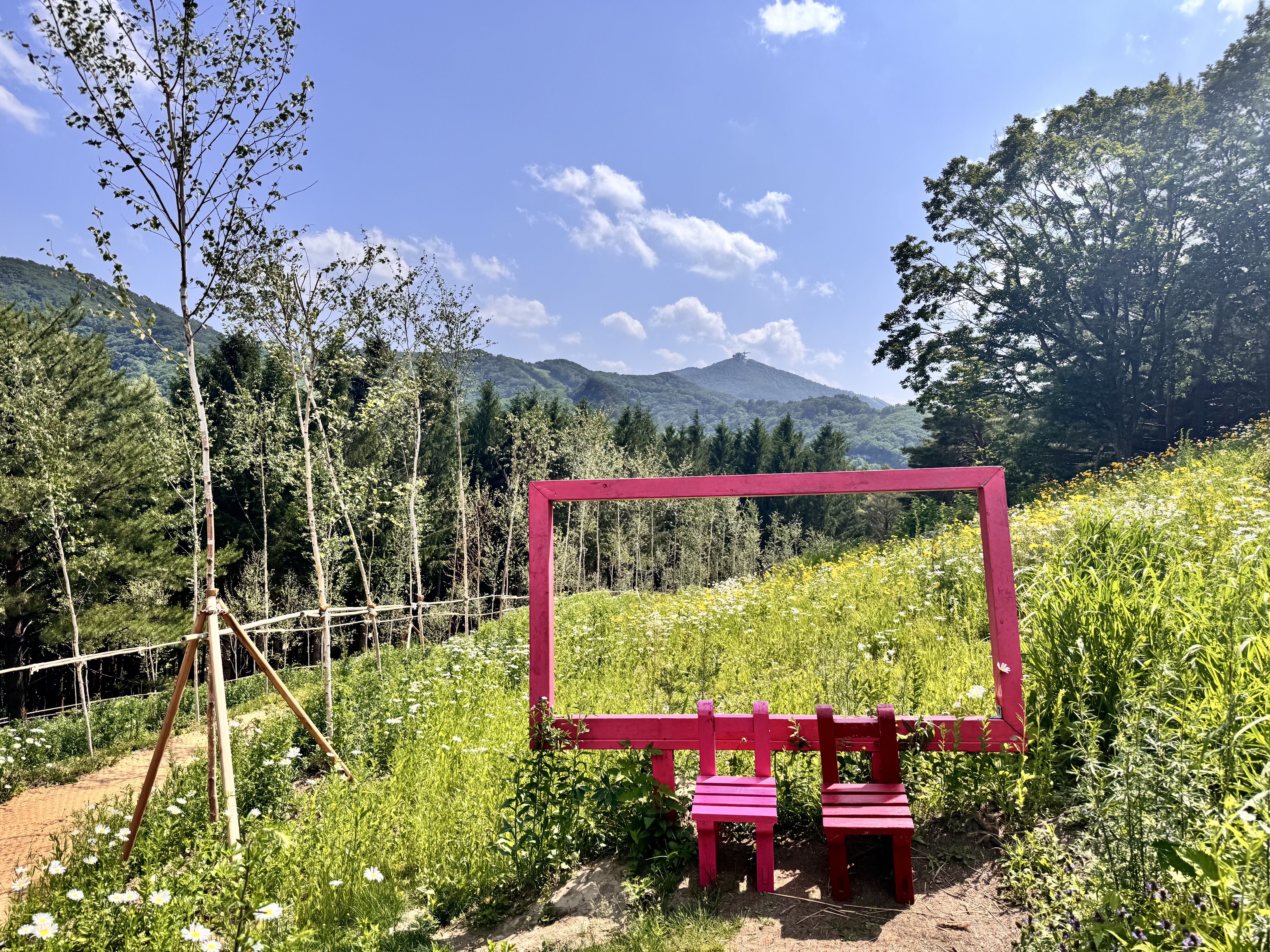 애니포레(Ani-Fore)