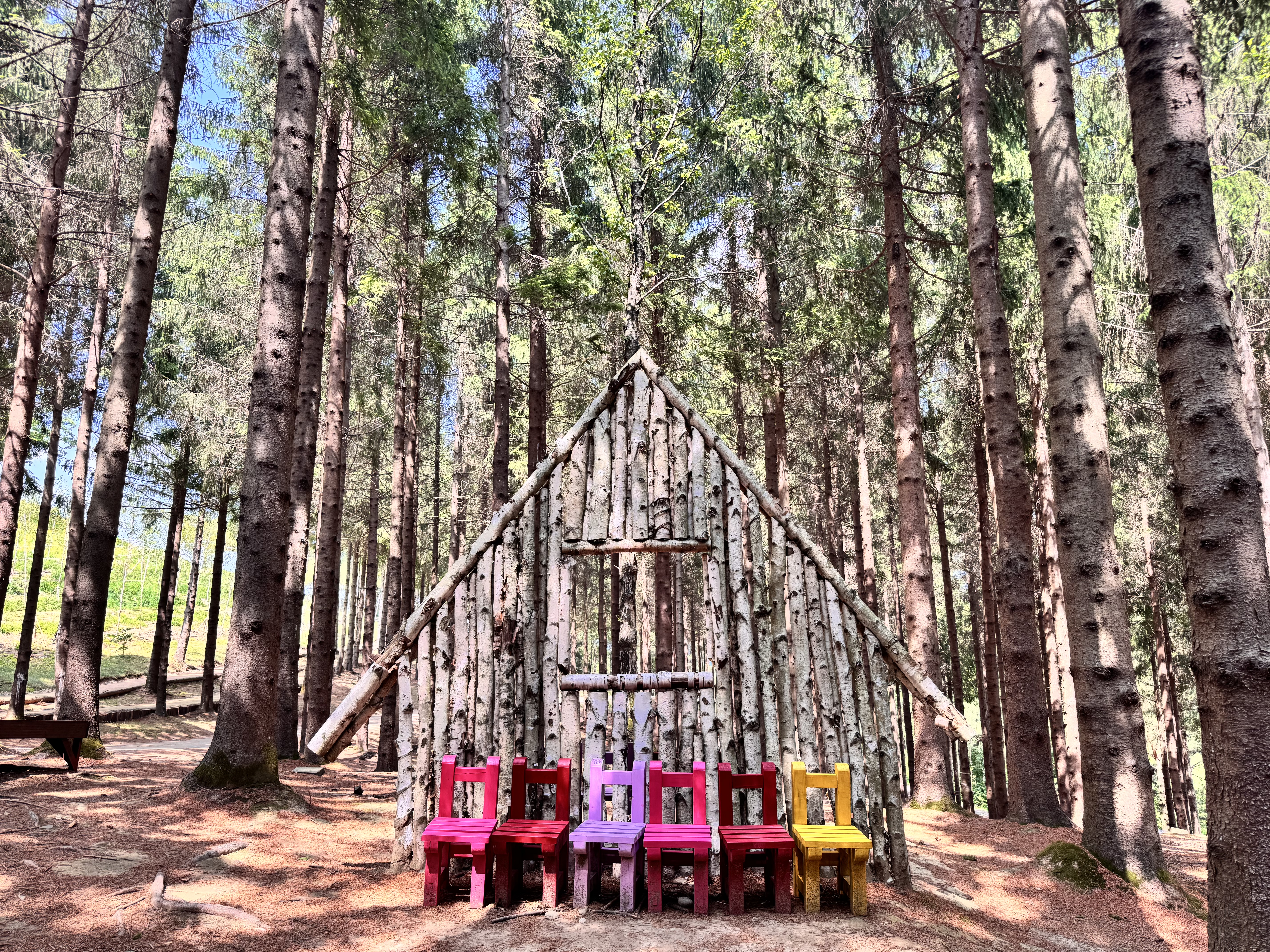 애니포레(Ani-Fore)