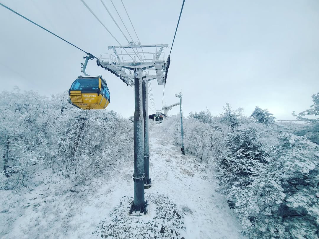 발왕산 관광케이블카(Mt.Balwangsan Cable Car)'s picture