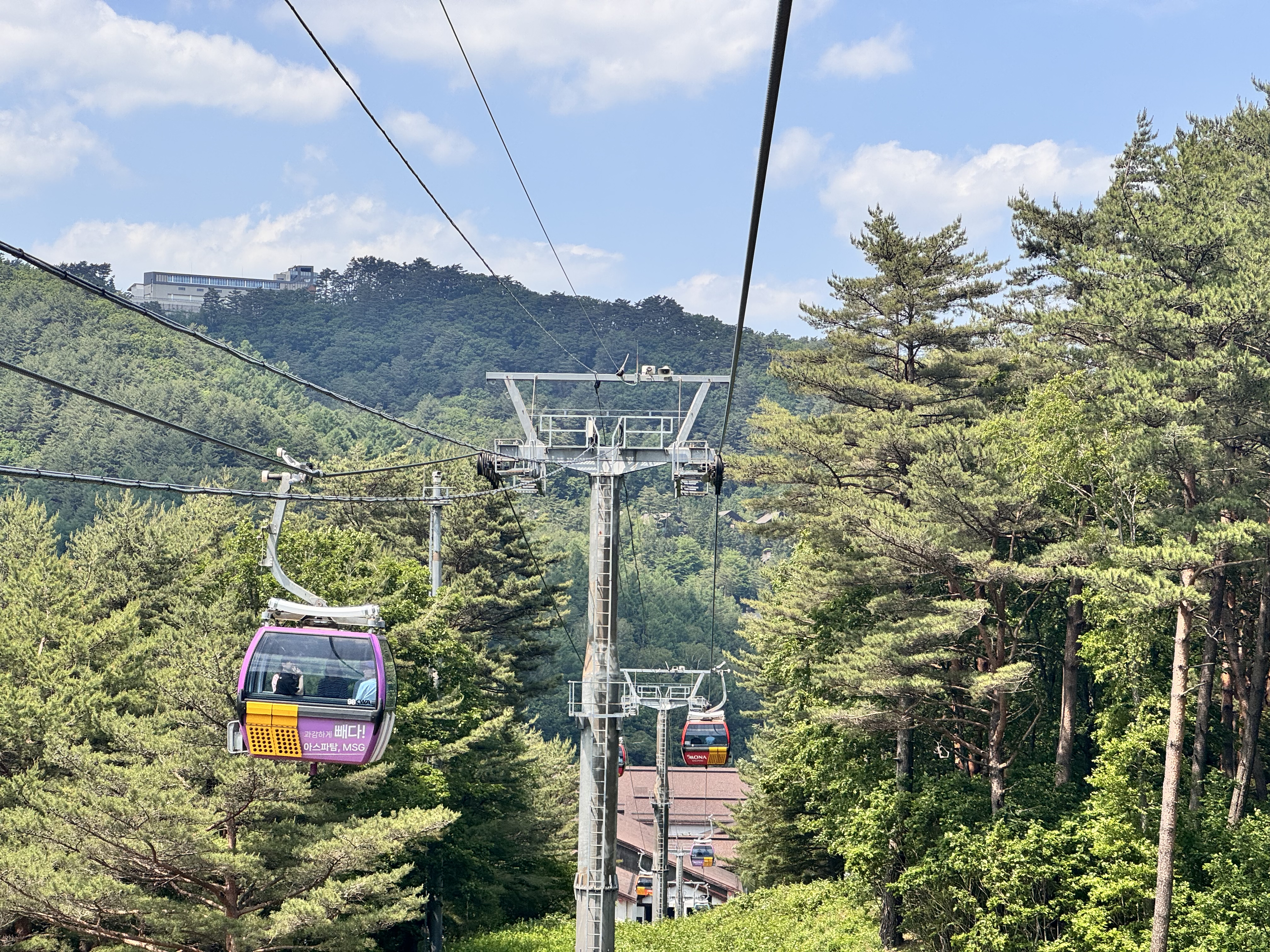 발왕산 관광케이블카(Mt.Balwangsan Cable Car)'s picture