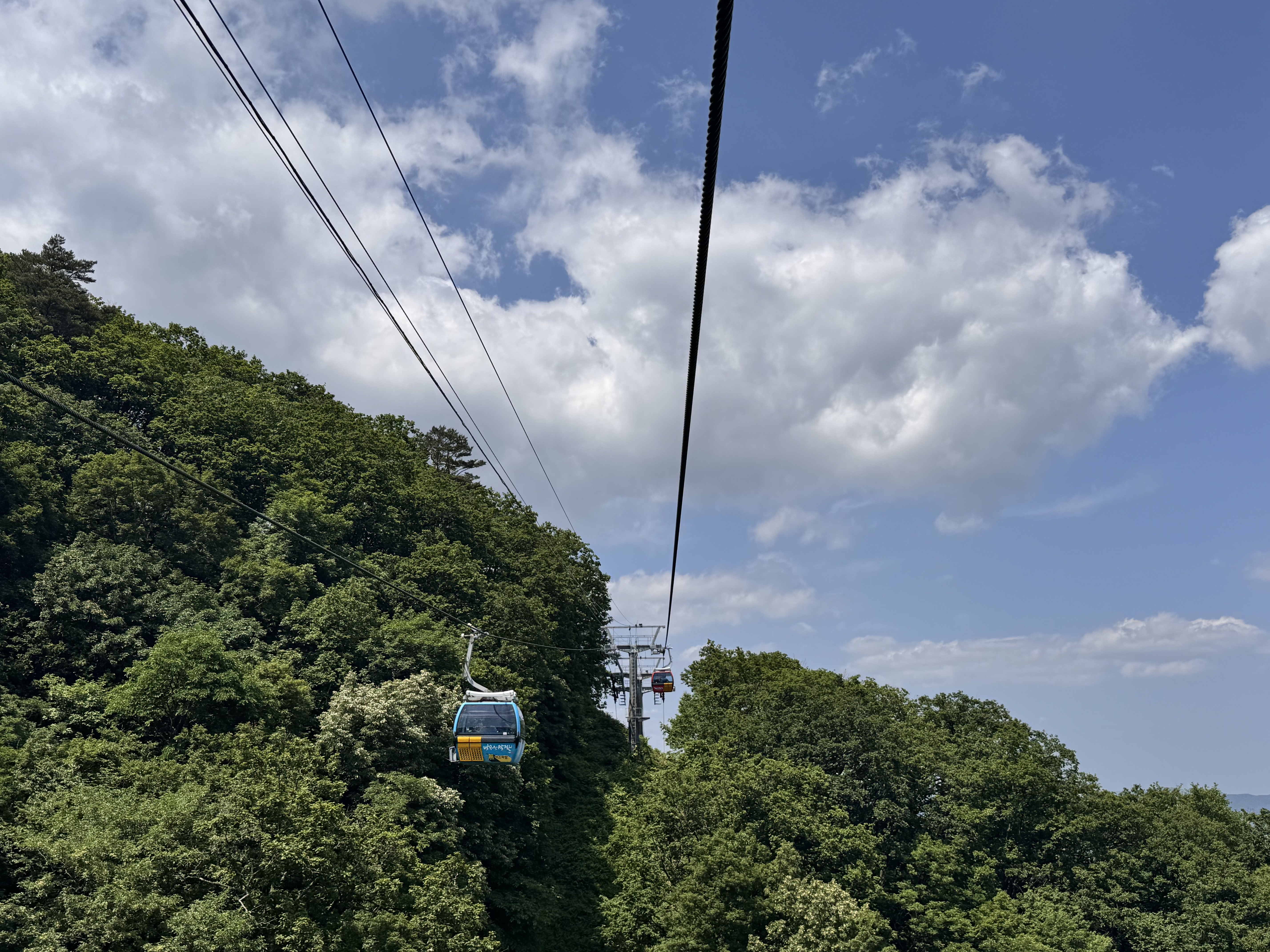발왕산 관광케이블카(Mt.Balwangsan Cable Car)'s picture