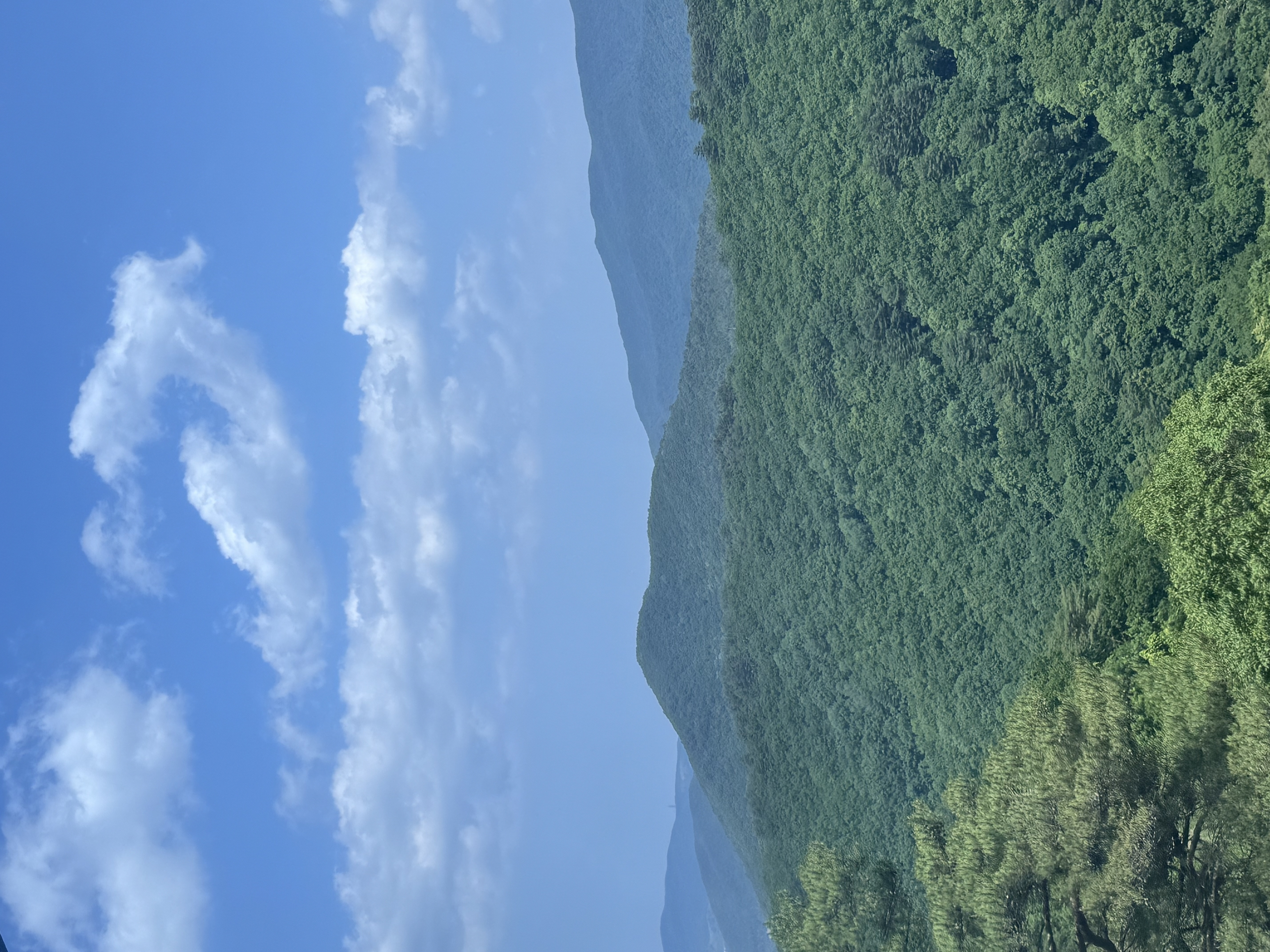 발왕산 관광케이블카(Mt.Balwangsan Cable Car)'s picture