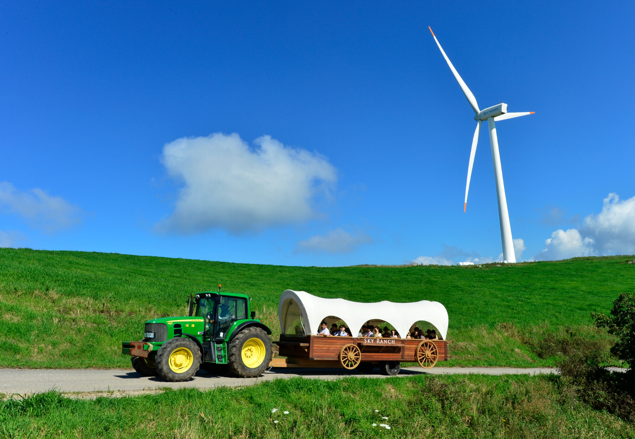 대관령 하늘목장(Sky Ranch)'s picture