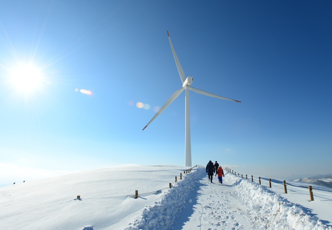 대관령 하늘목장(Sky Ranch)'s picture