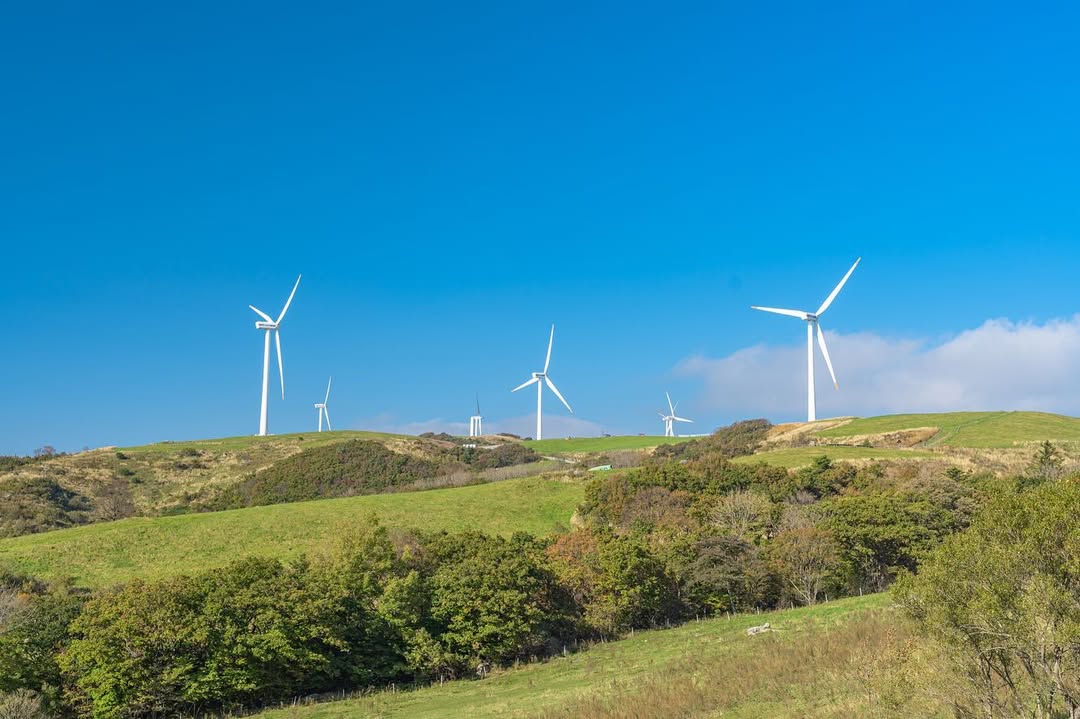 대관령 하늘목장(Sky Ranch)'s picture